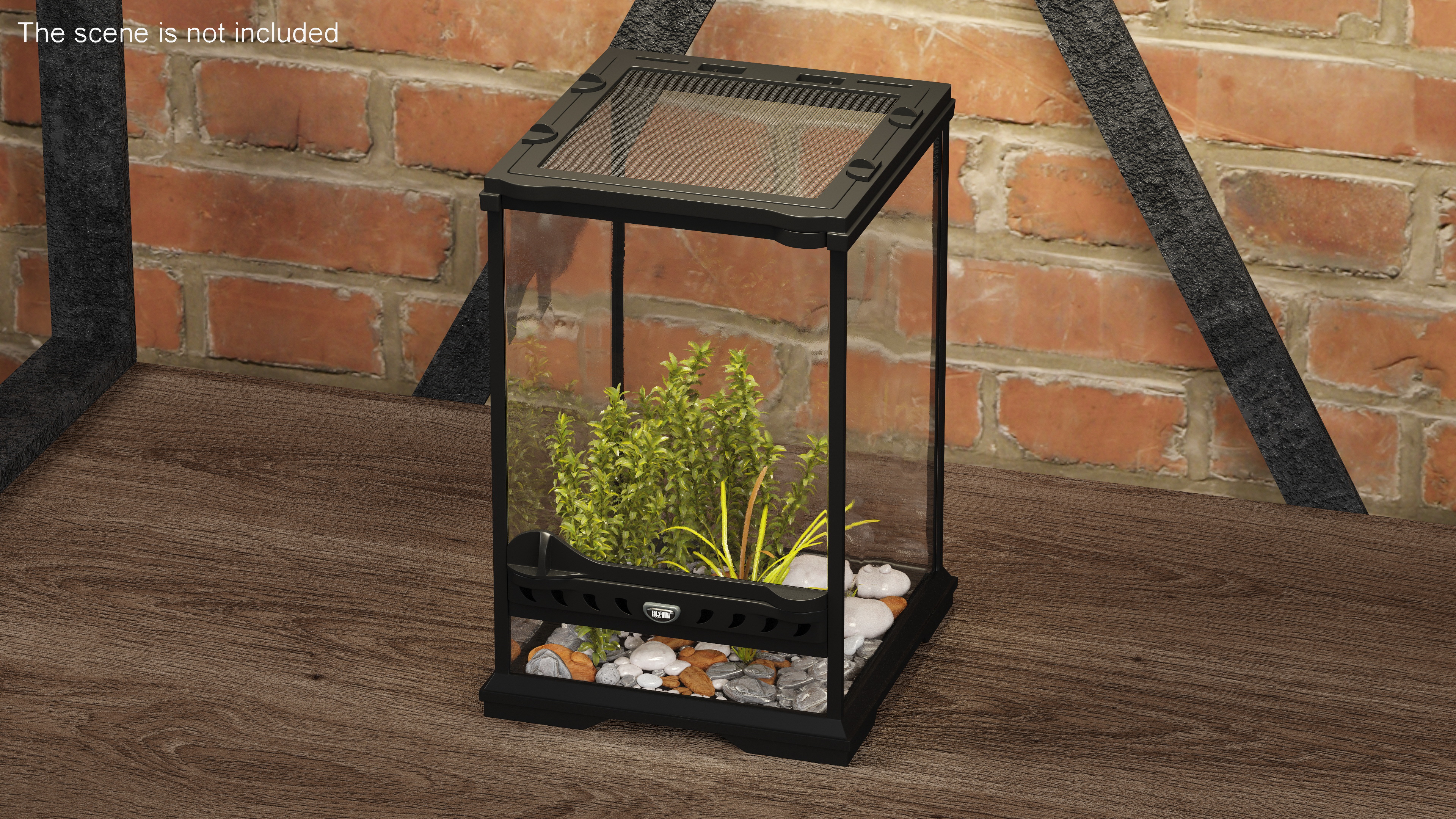 3D Little Desktop Terrarium with Plants