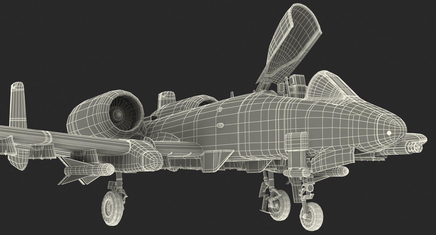 Attack Aircraft A 10 Thunderbolt II Rigged 3D