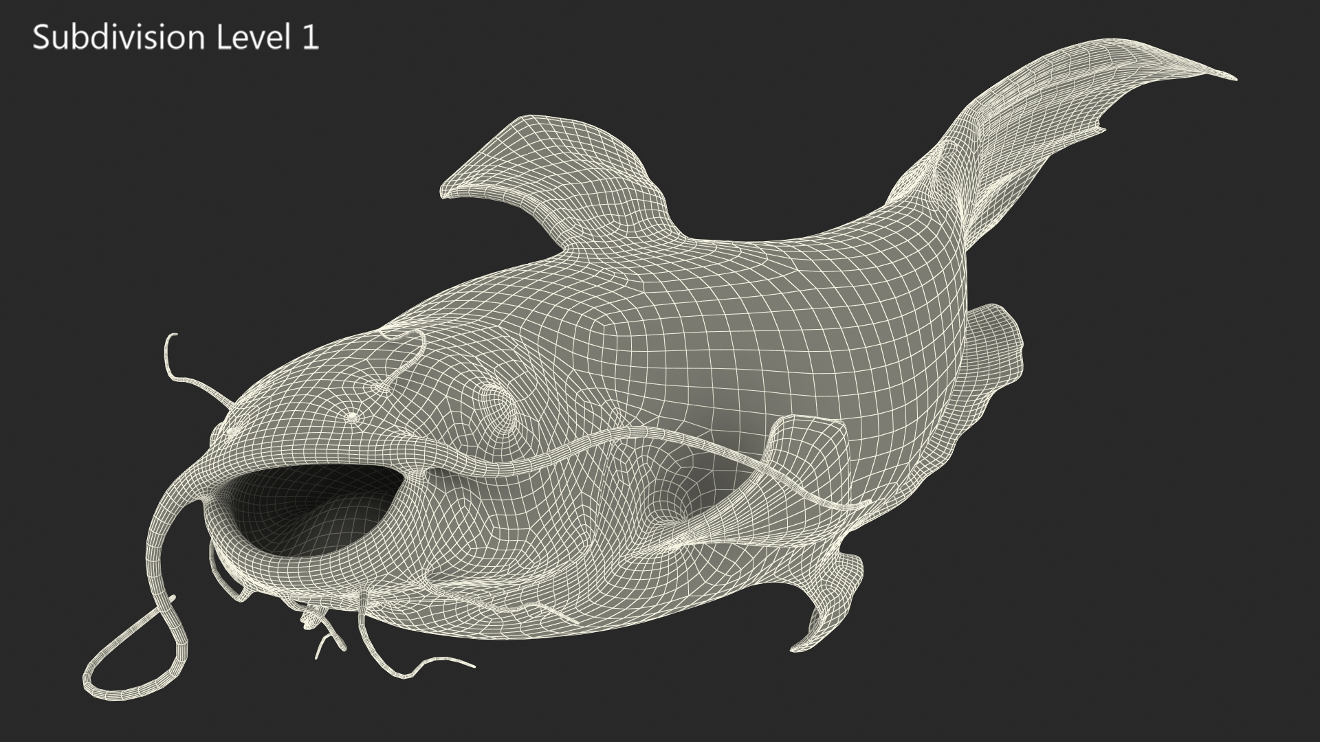 Channel Catfish Swimming Pose 3D model