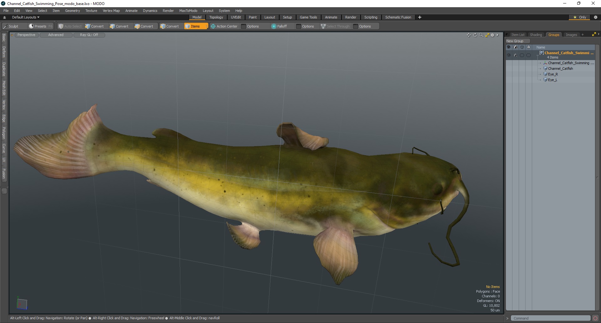Channel Catfish Swimming Pose 3D model