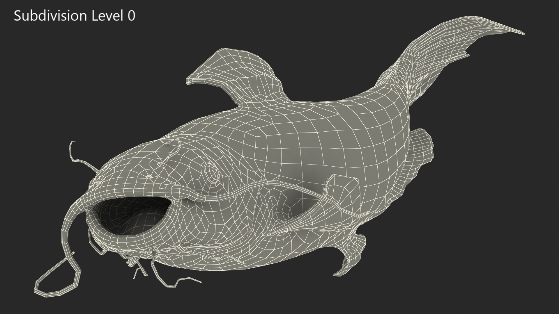 Channel Catfish Swimming Pose 3D model