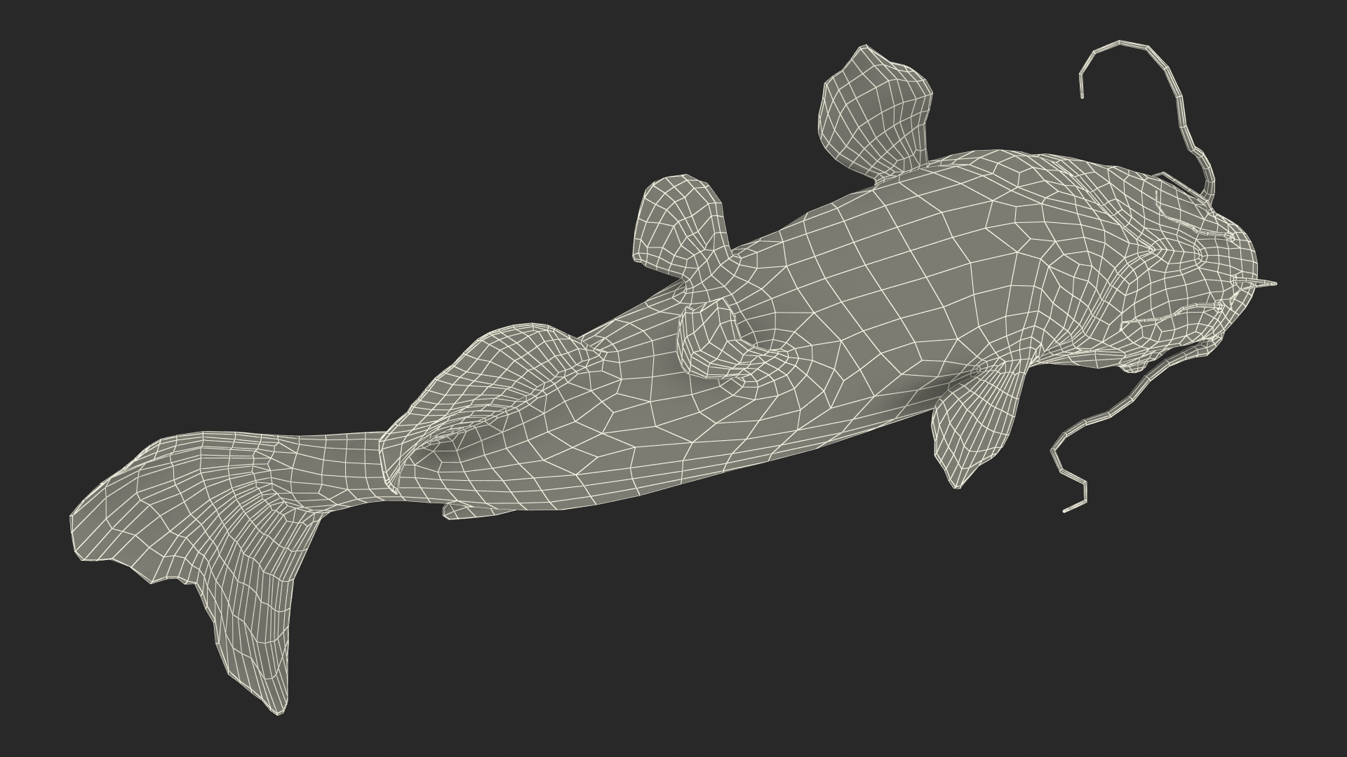 Channel Catfish Swimming Pose 3D model