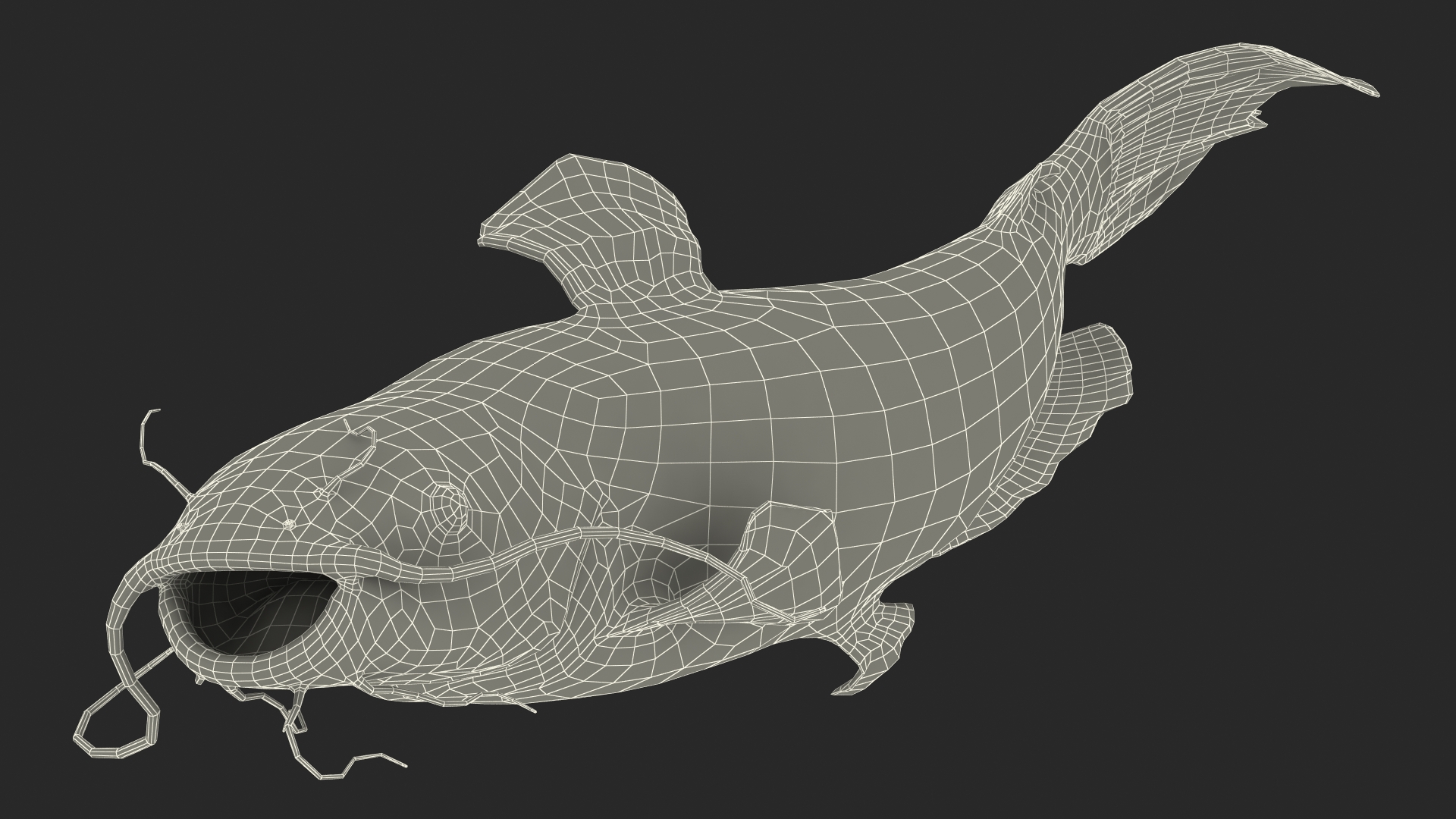 Channel Catfish Swimming Pose 3D model