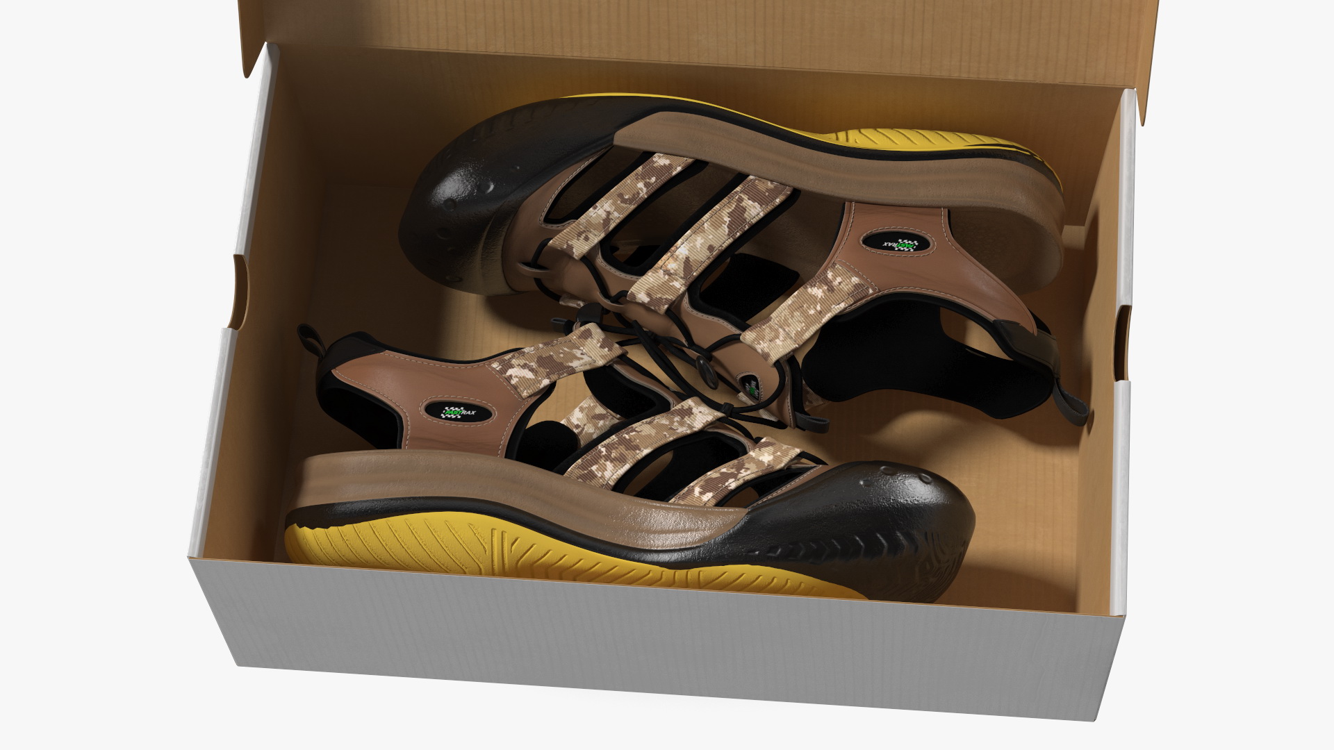 3D Carton Box with Sports Shoes model