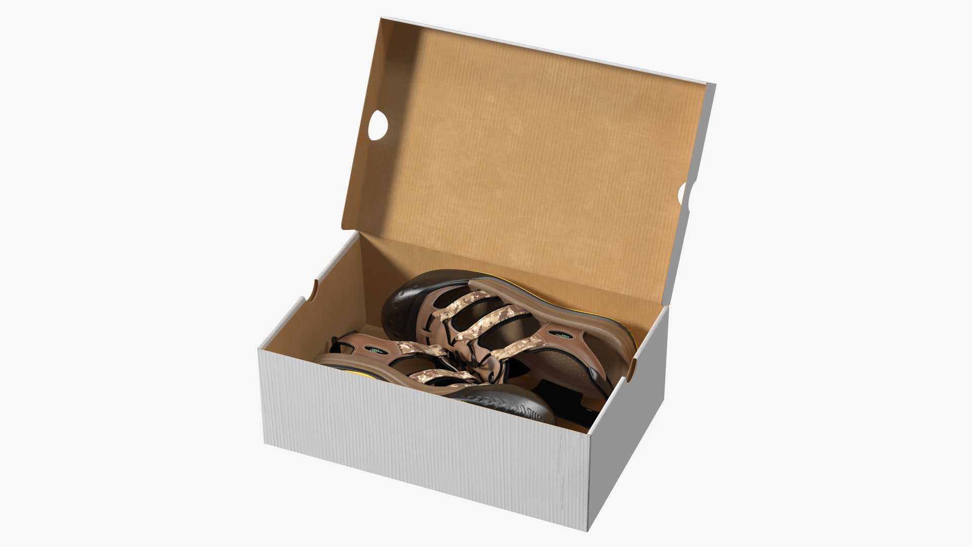 3D Carton Box with Sports Shoes model