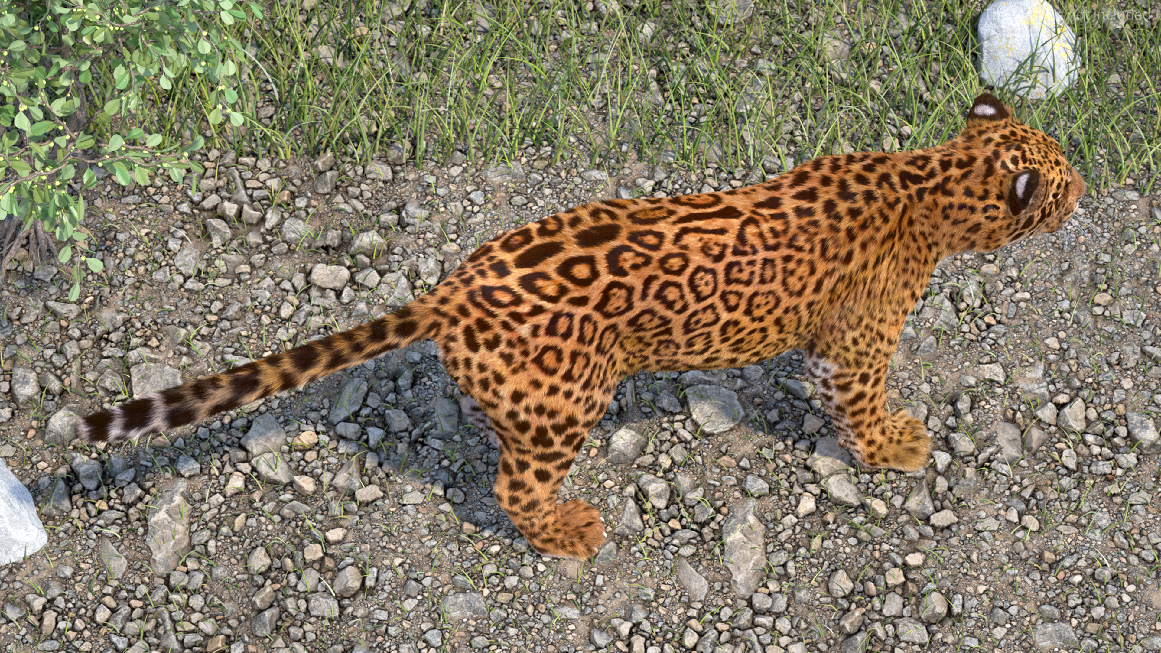 3D model Jaguar Fur