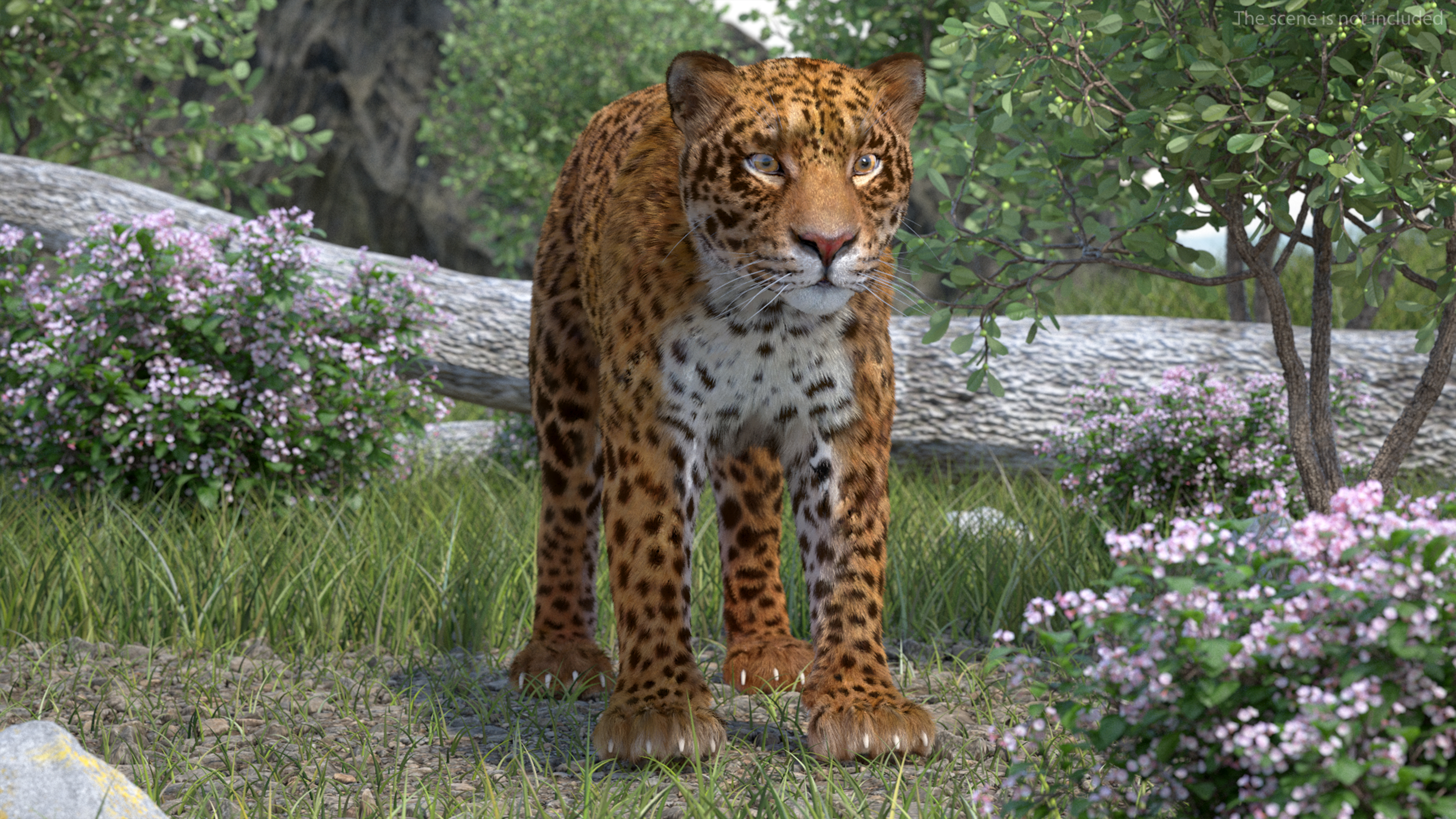 3D model Jaguar Fur