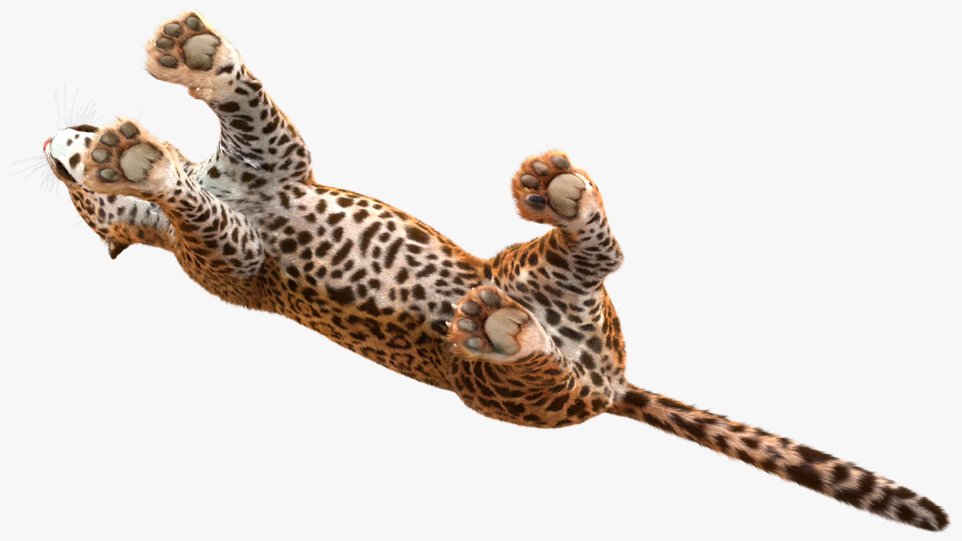 3D model Jaguar Fur