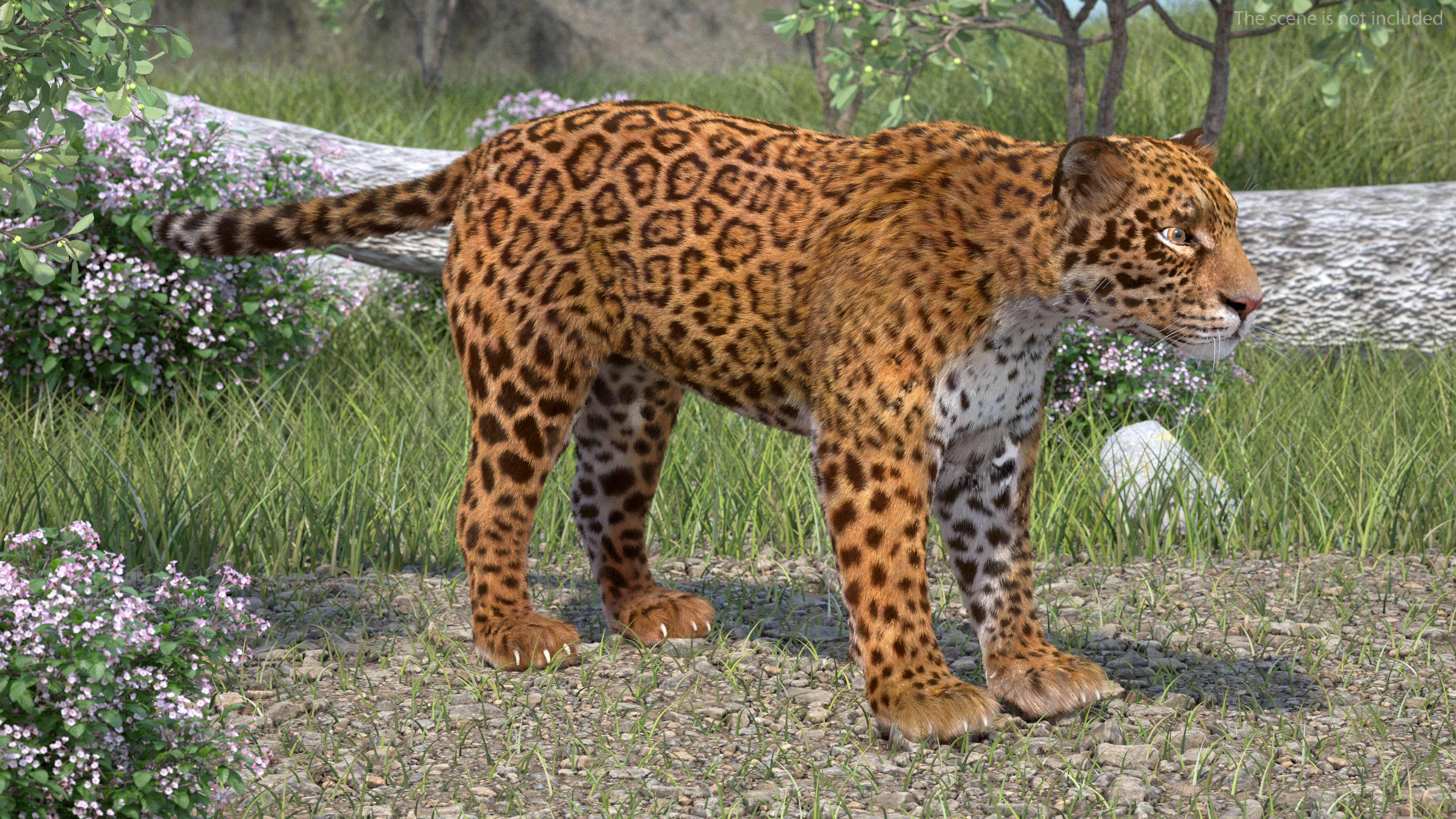 3D model Jaguar Fur