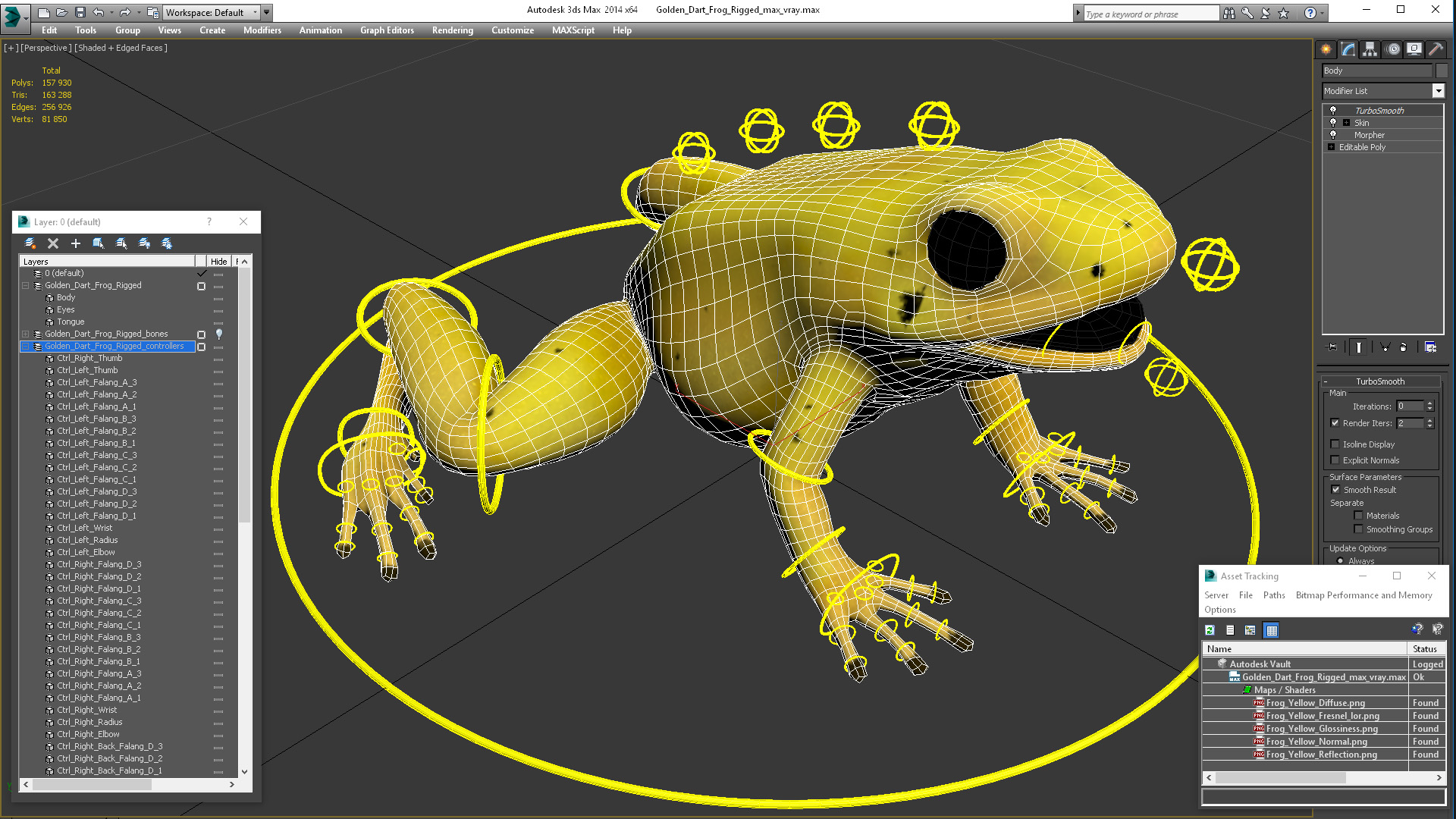 Golden Dart Frog Rigged for Maya 3D