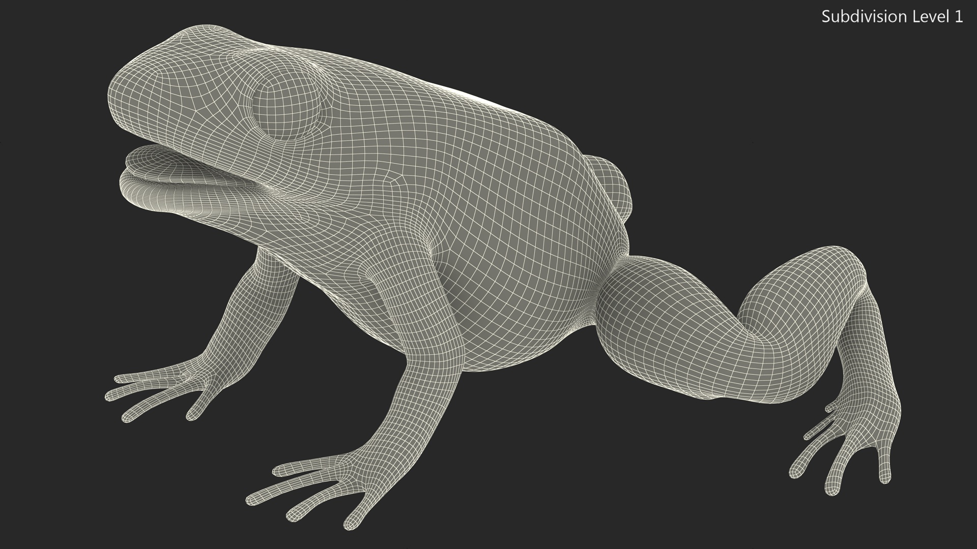 Golden Dart Frog Rigged for Maya 3D