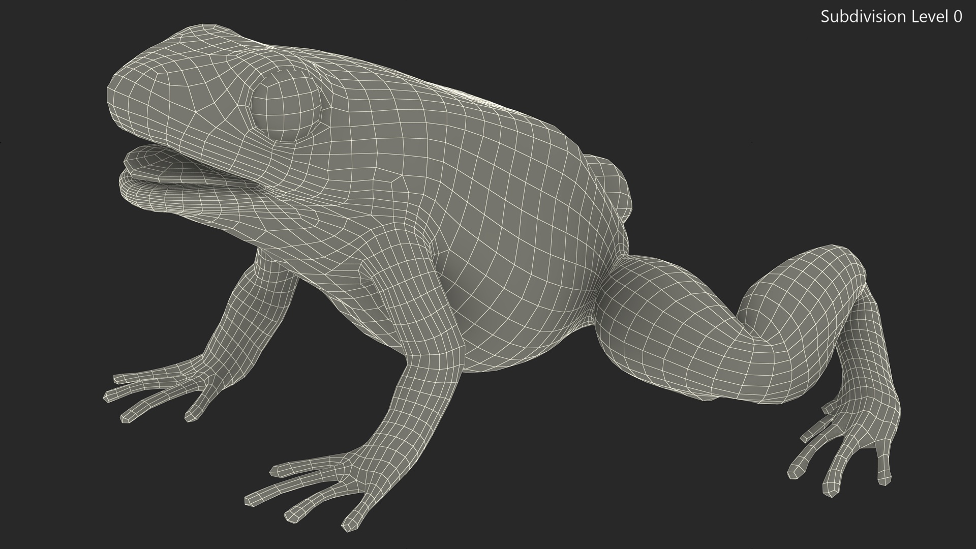 Golden Dart Frog Rigged for Maya 3D