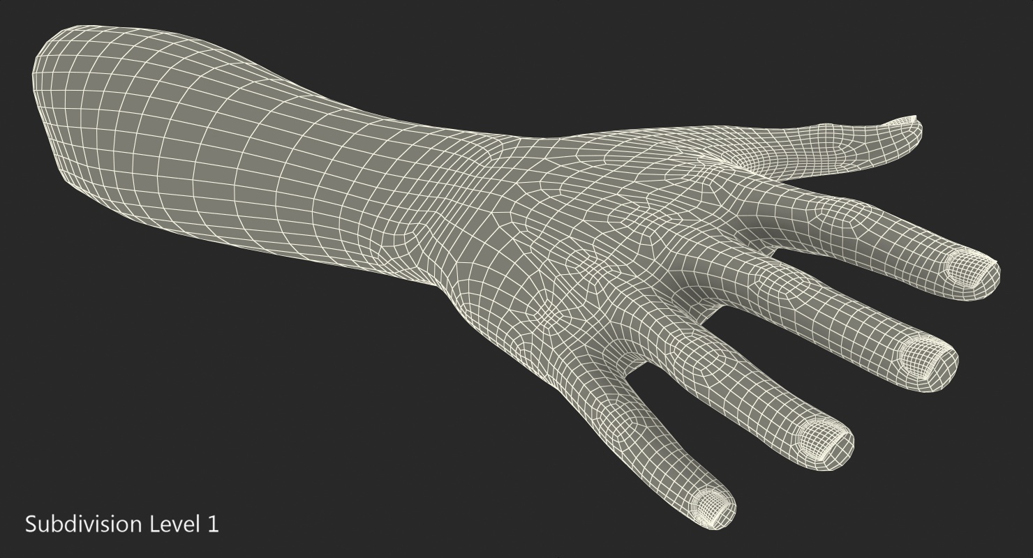 Female Arm with Short Nails 3D