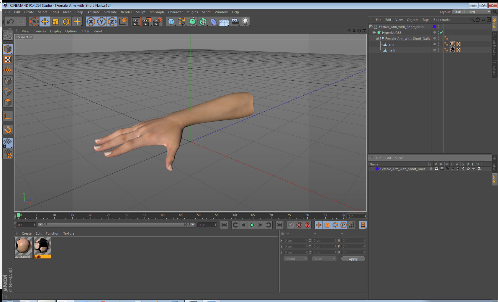 Female Arm with Short Nails 3D