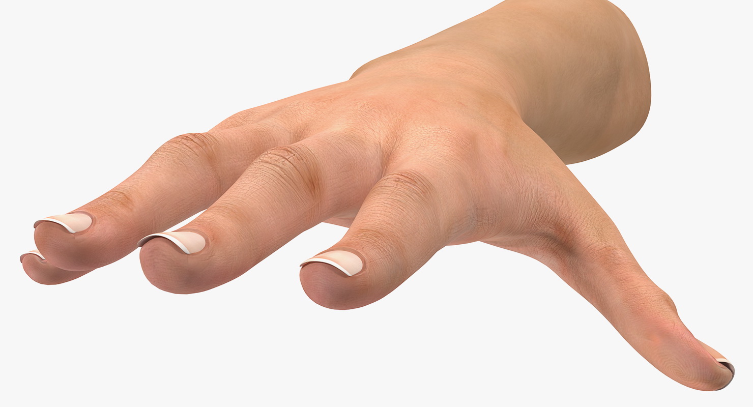 Female Arm with Short Nails 3D