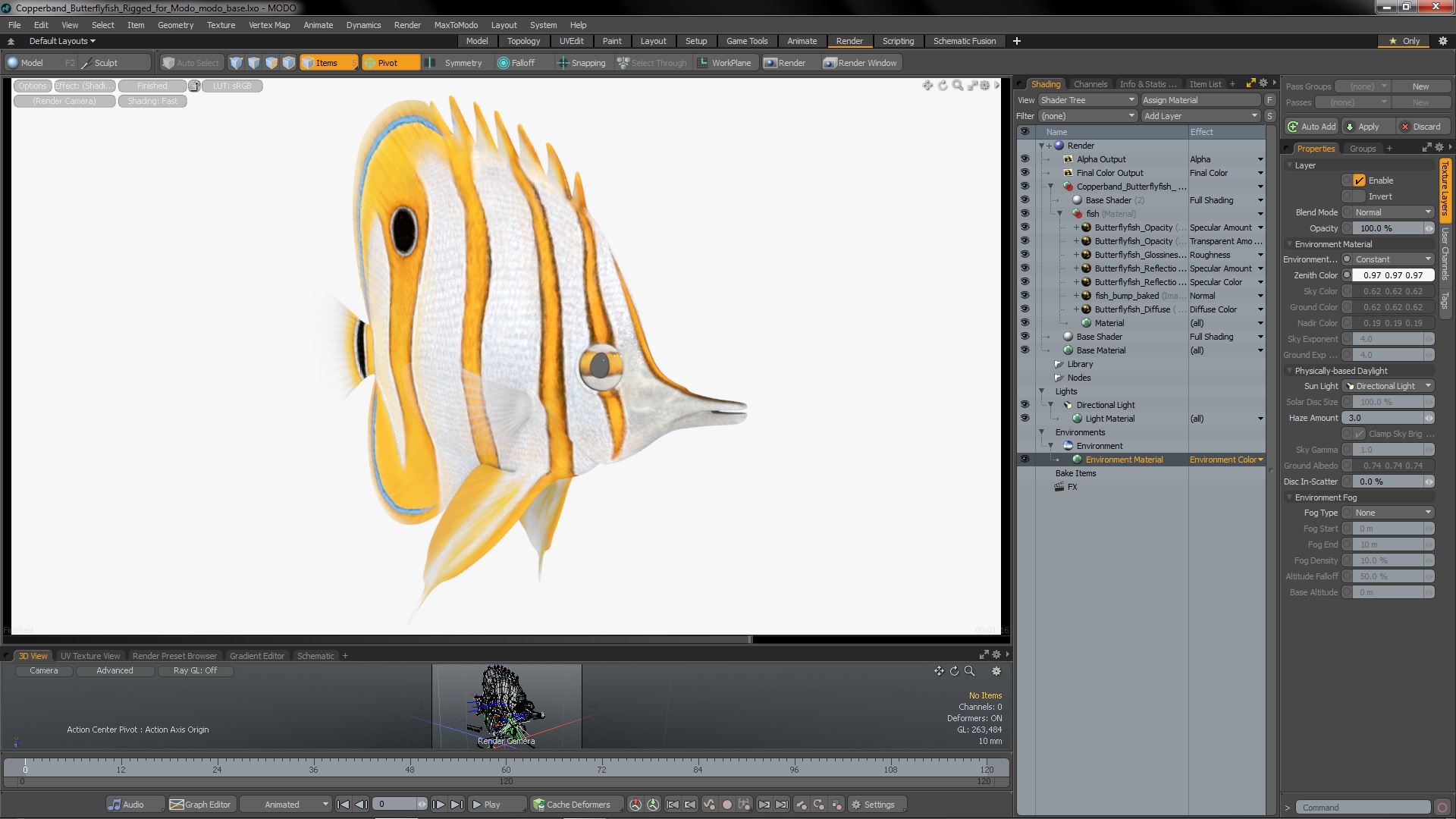 3D model Copperband Butterflyfish Rigged for Modo
