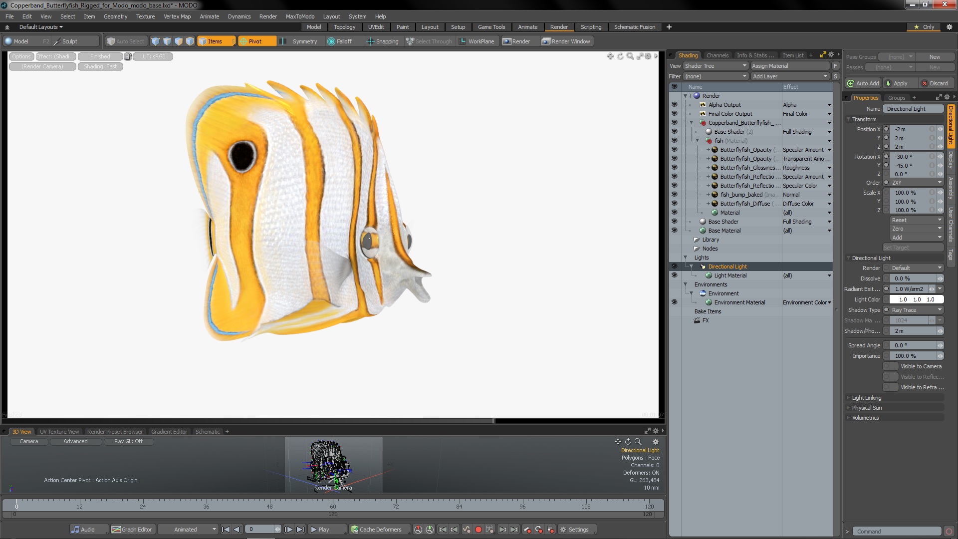 3D model Copperband Butterflyfish Rigged for Modo