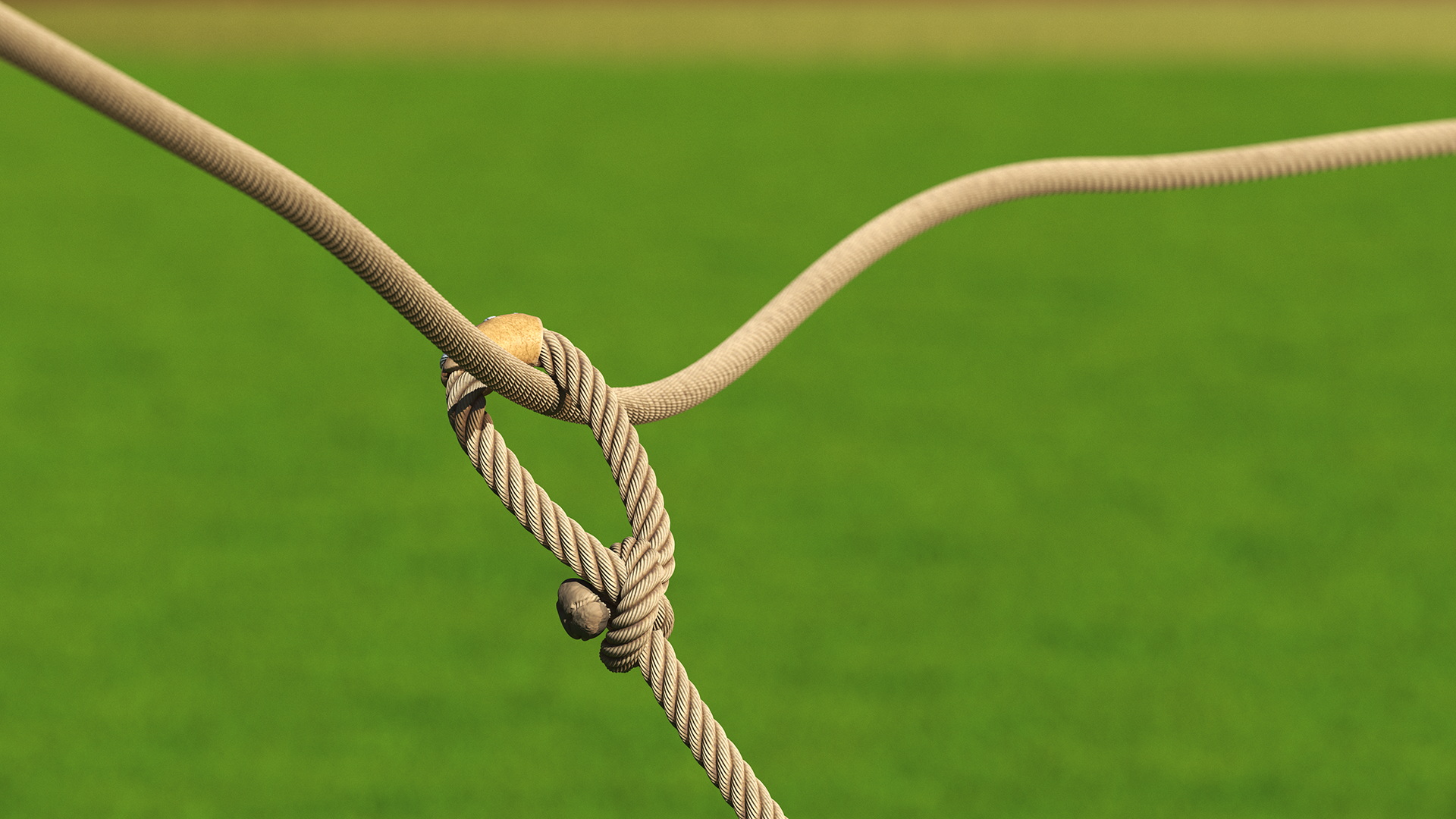 3D Lasso Rope for Catching Animals Flying model