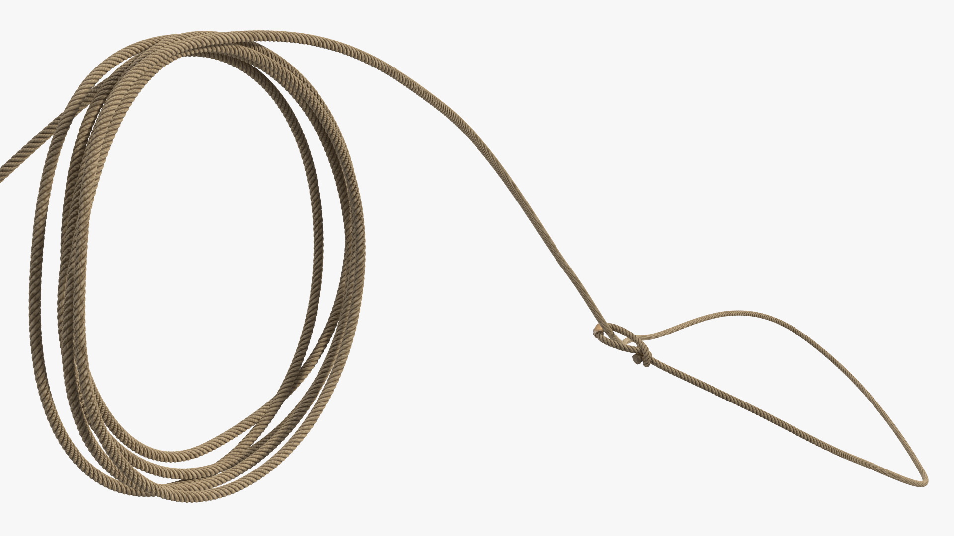 3D Lasso Rope for Catching Animals Flying model