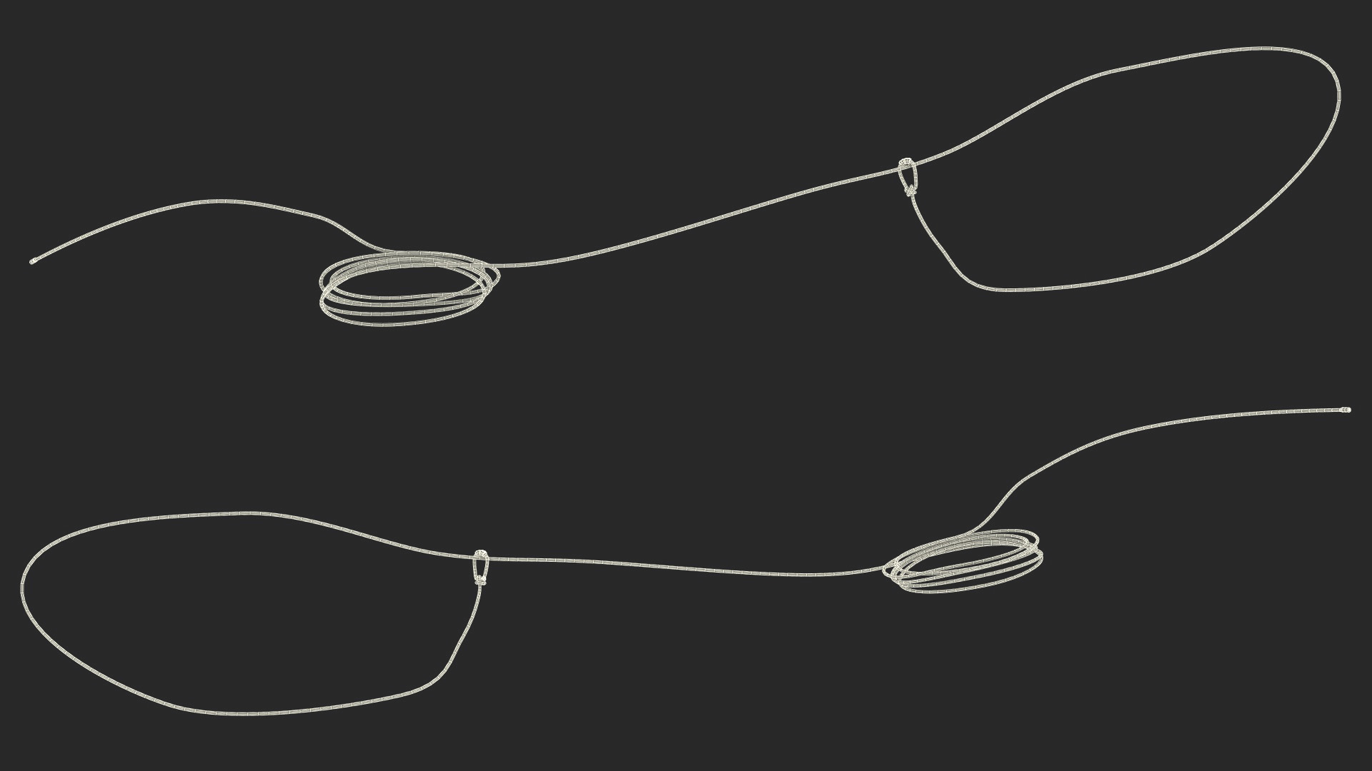 3D Lasso Rope for Catching Animals Flying model