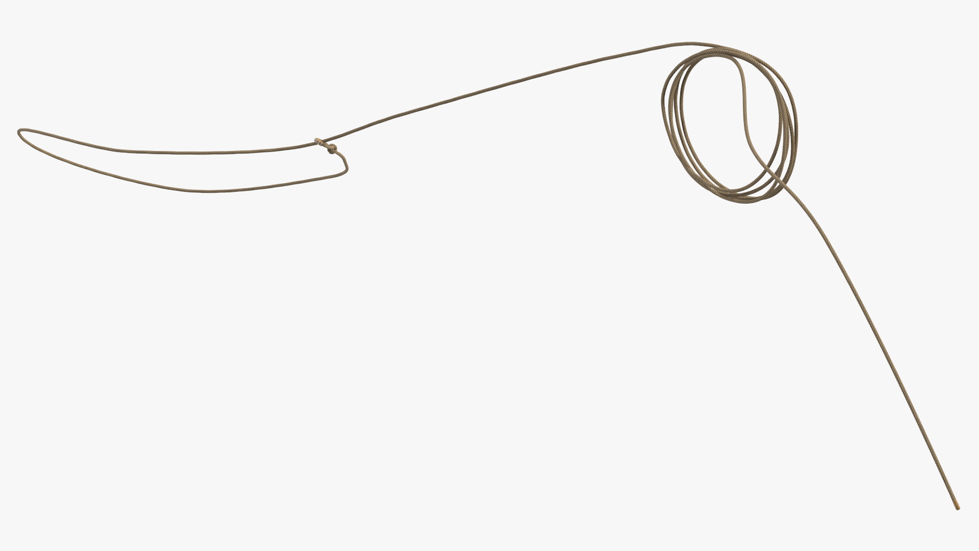3D Lasso Rope for Catching Animals Flying model