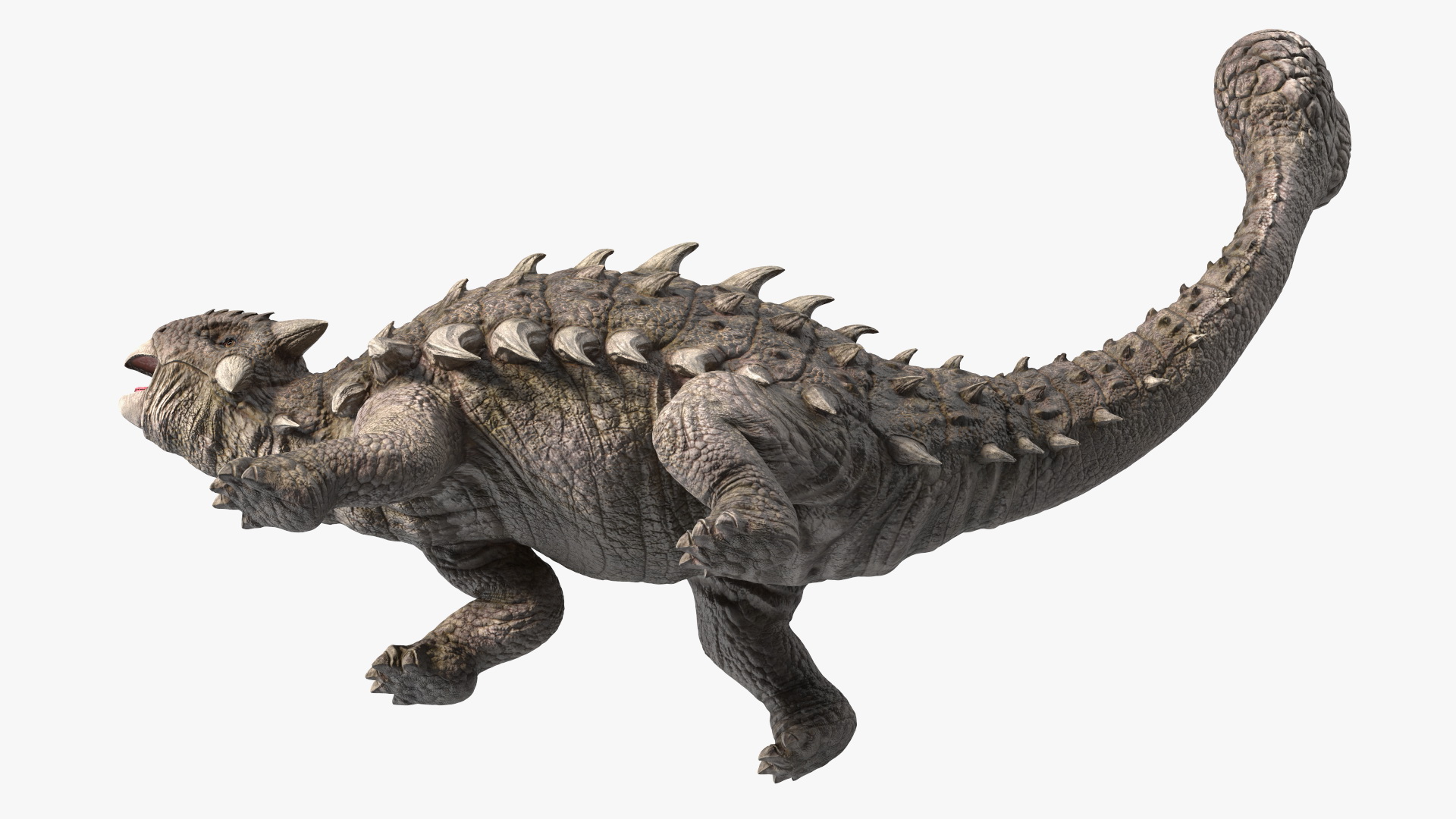 3D Ankylosaurus Deserted in Attack Pose