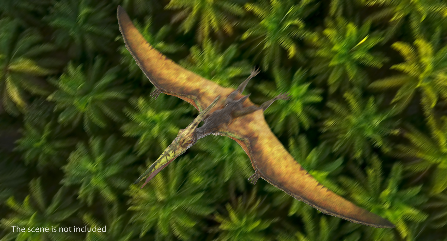 Pteranodon Flying Carnivorous Reptile 3D