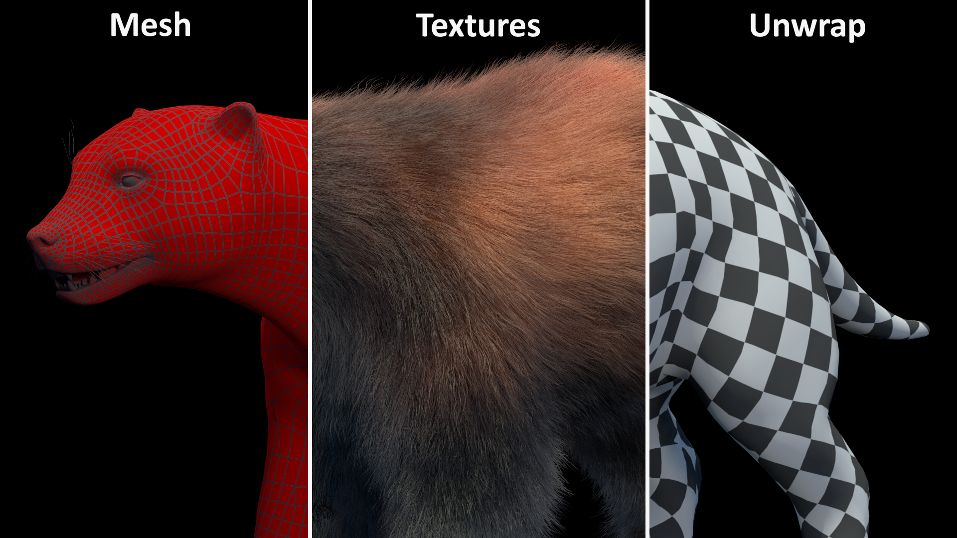 3D Wolverine Dark Color Fur Rigged