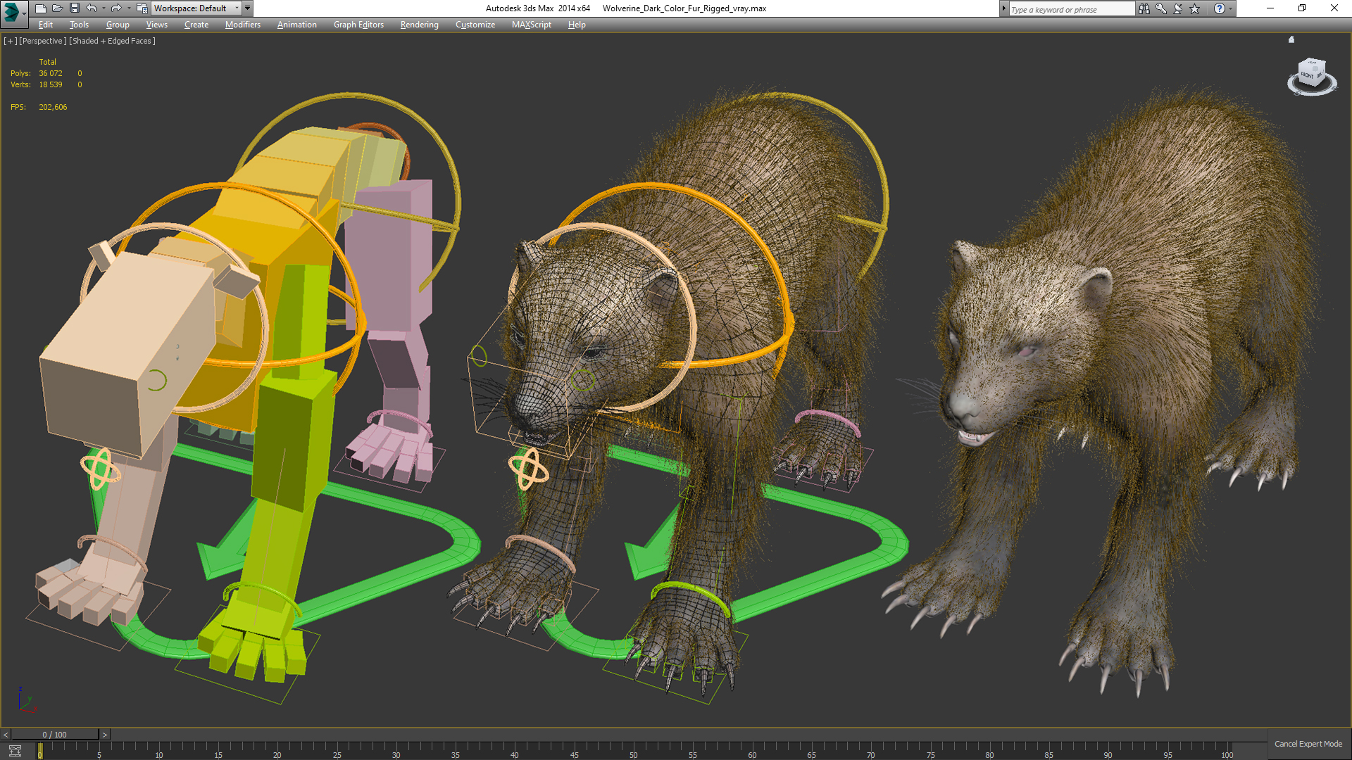 3D Wolverine Dark Color Fur Rigged