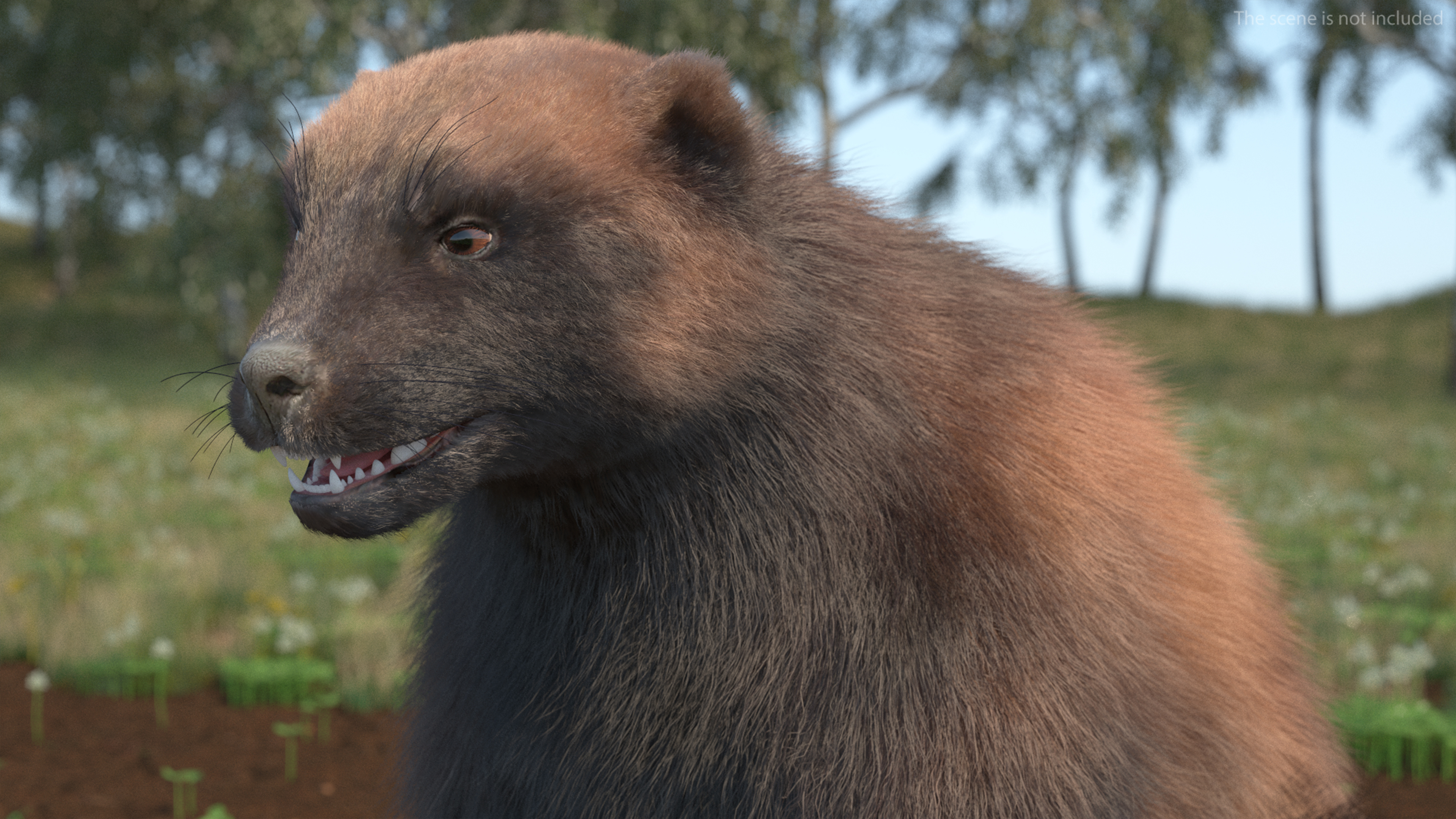 3D Wolverine Dark Color Fur Rigged