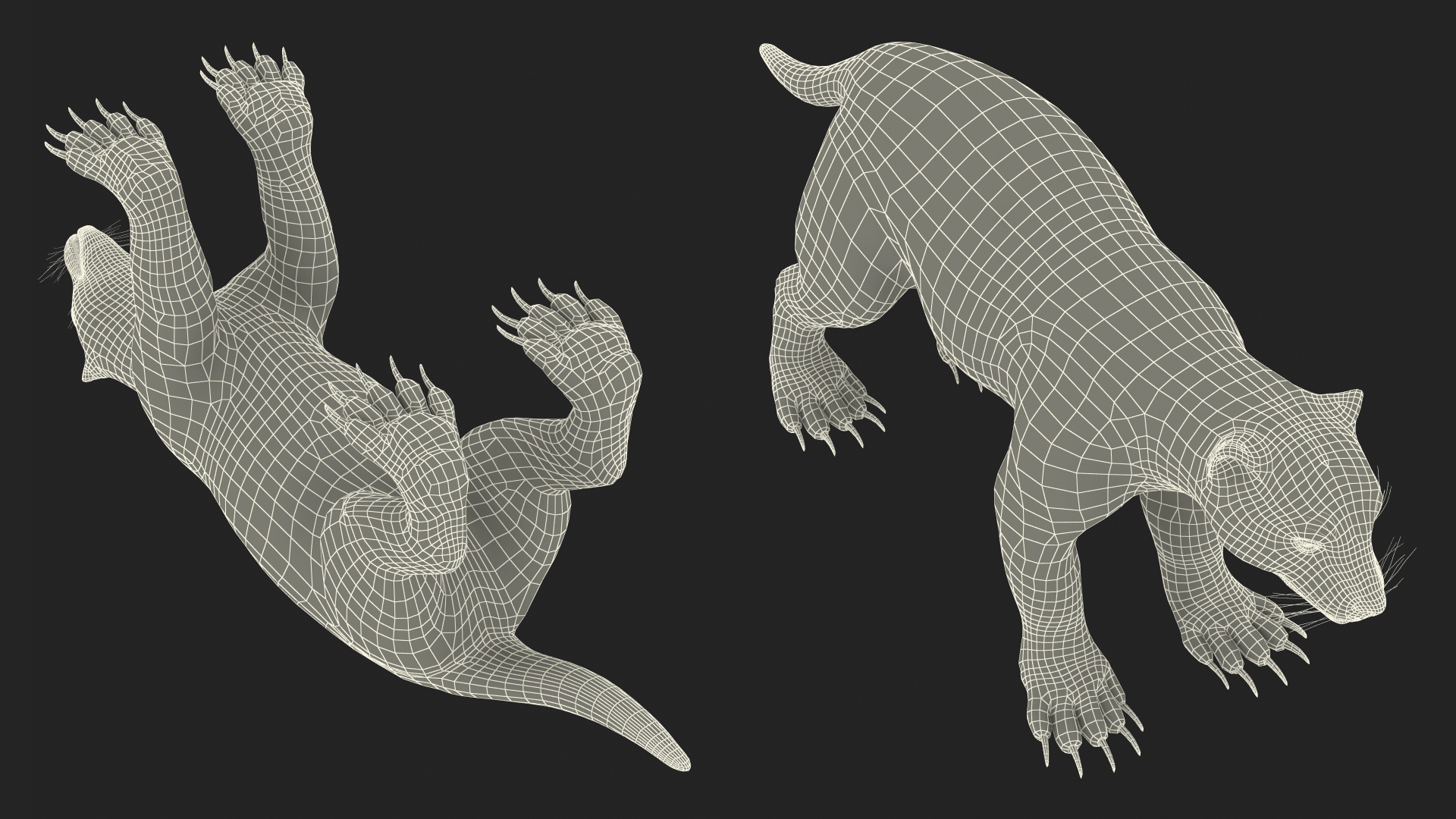 3D Wolverine Dark Color Fur Rigged