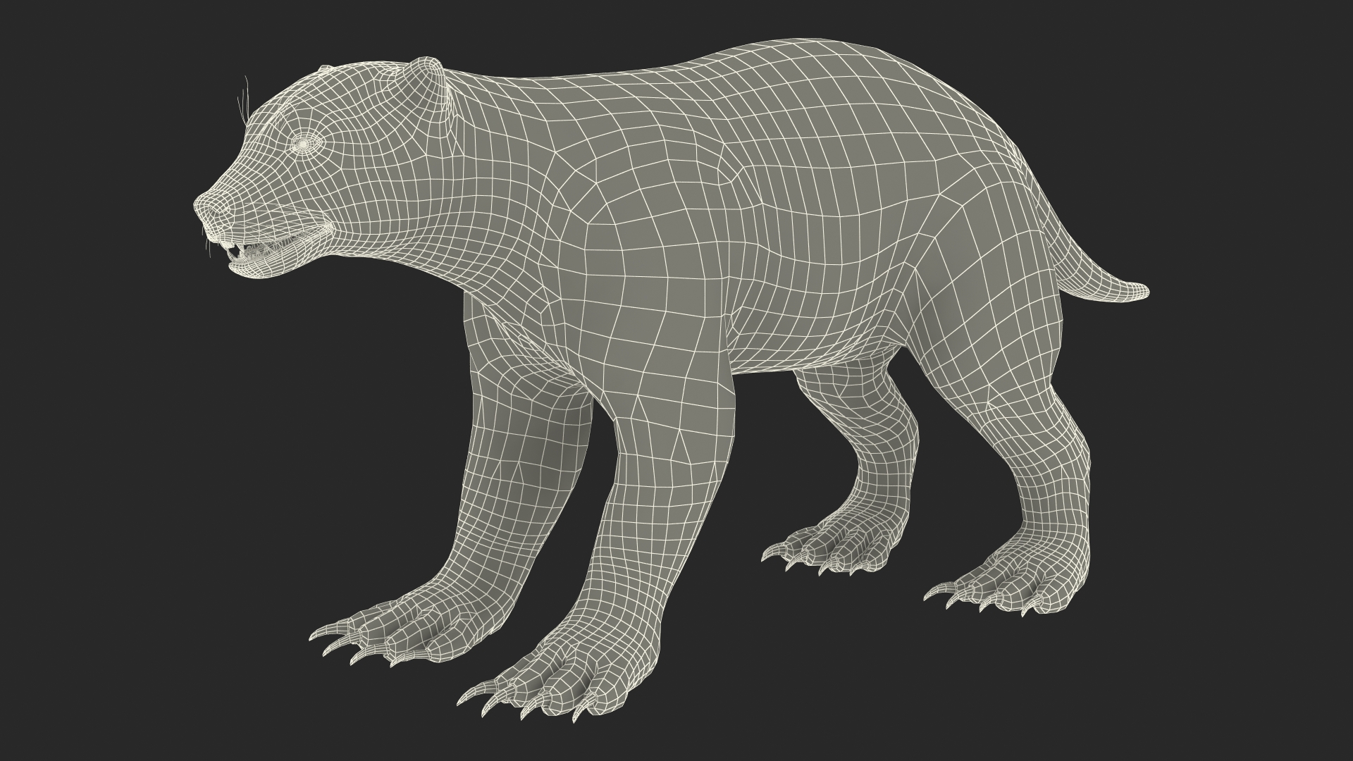 3D Wolverine Dark Color Fur Rigged