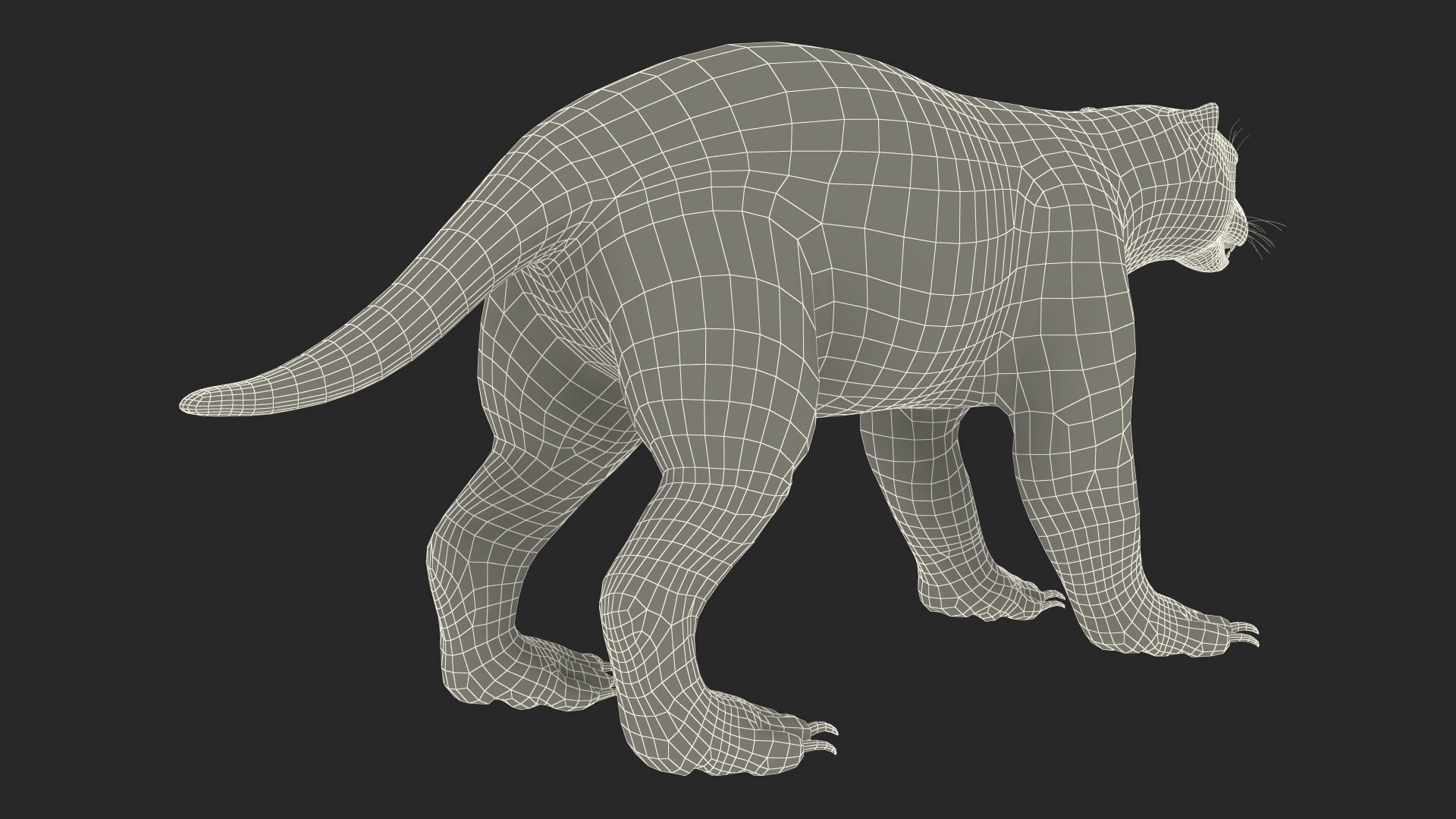 3D Wolverine Dark Color Fur Rigged