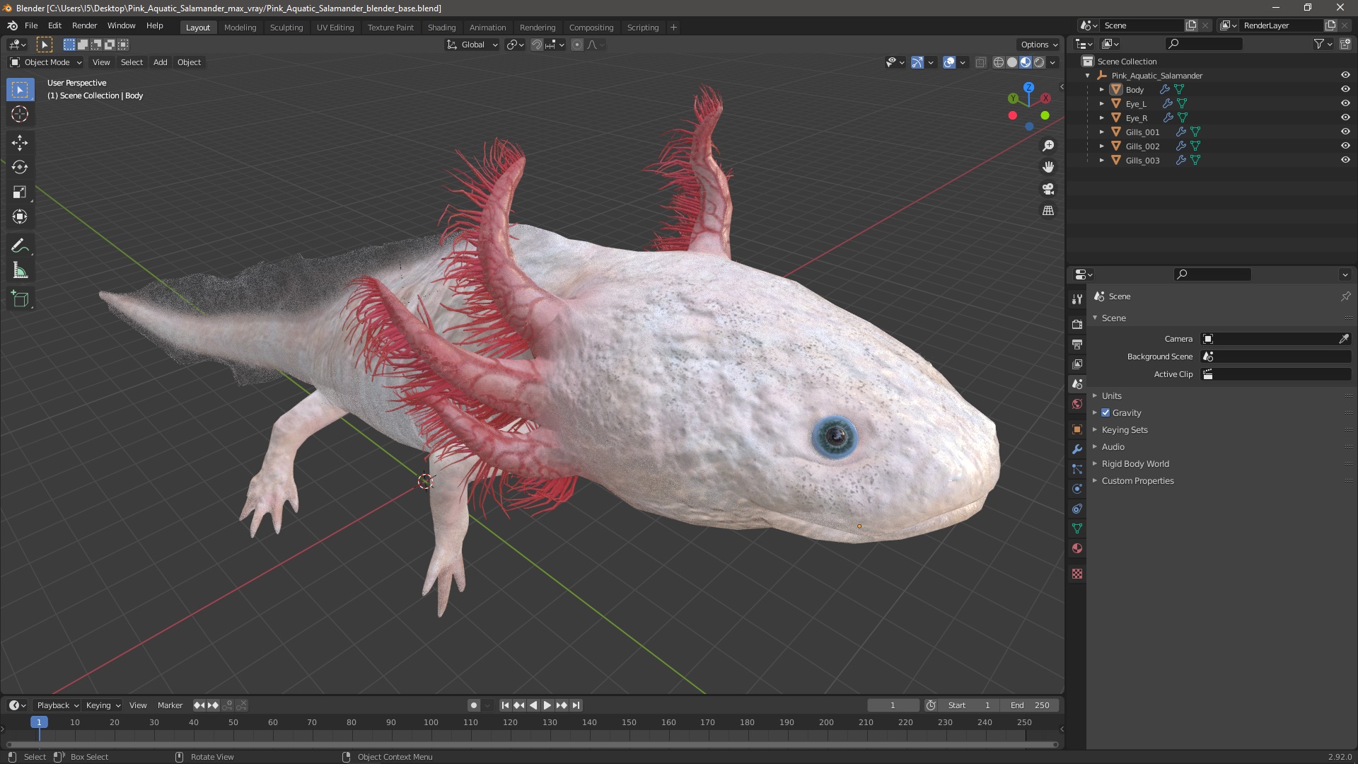 3D Pink Aquatic Salamander model
