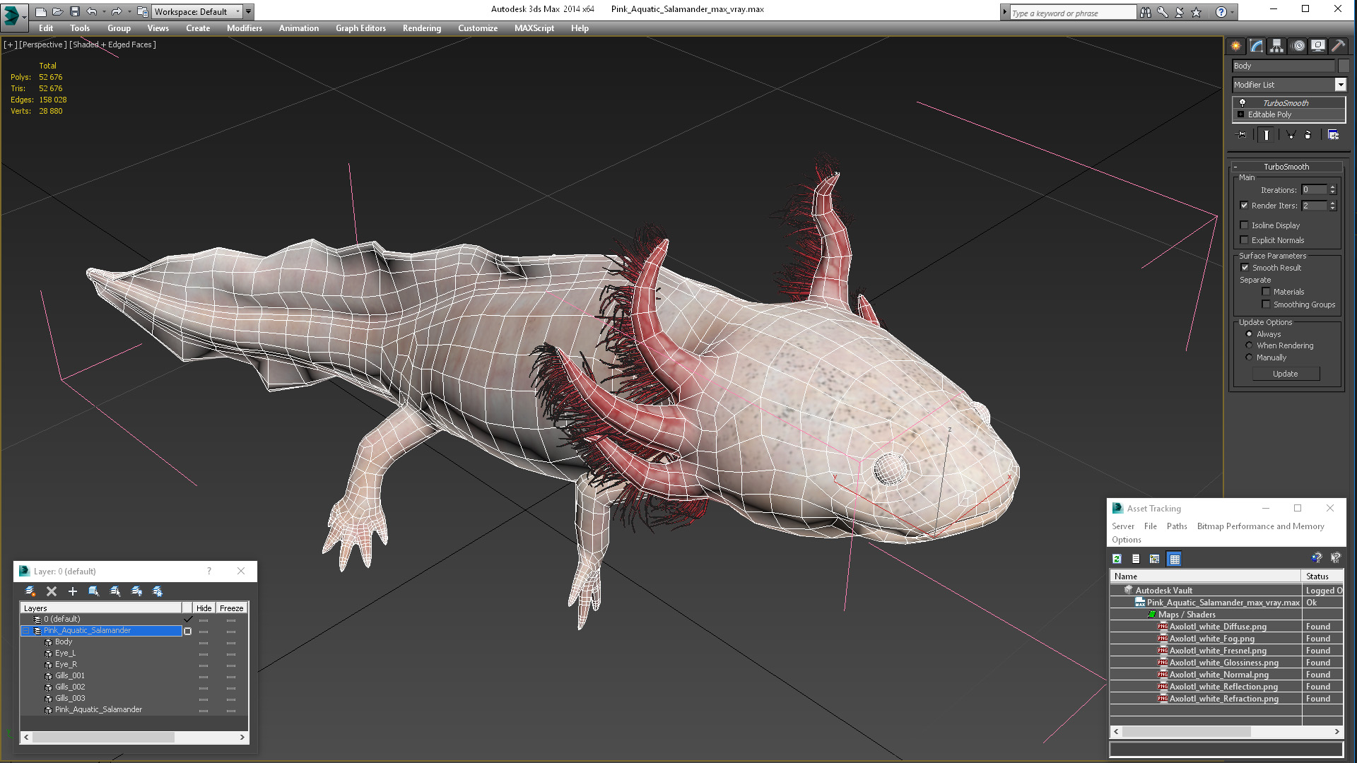3D Pink Aquatic Salamander model