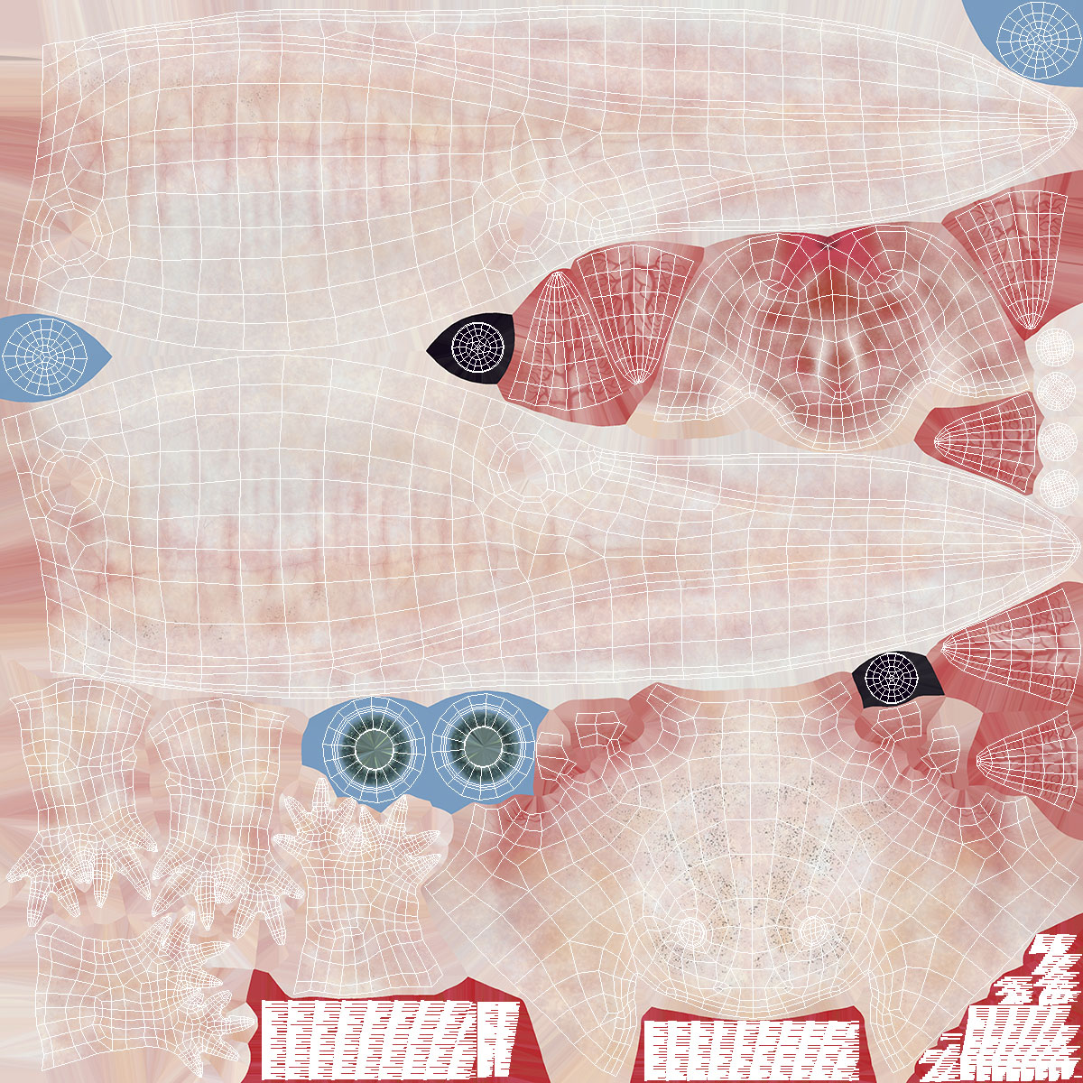3D Pink Aquatic Salamander model