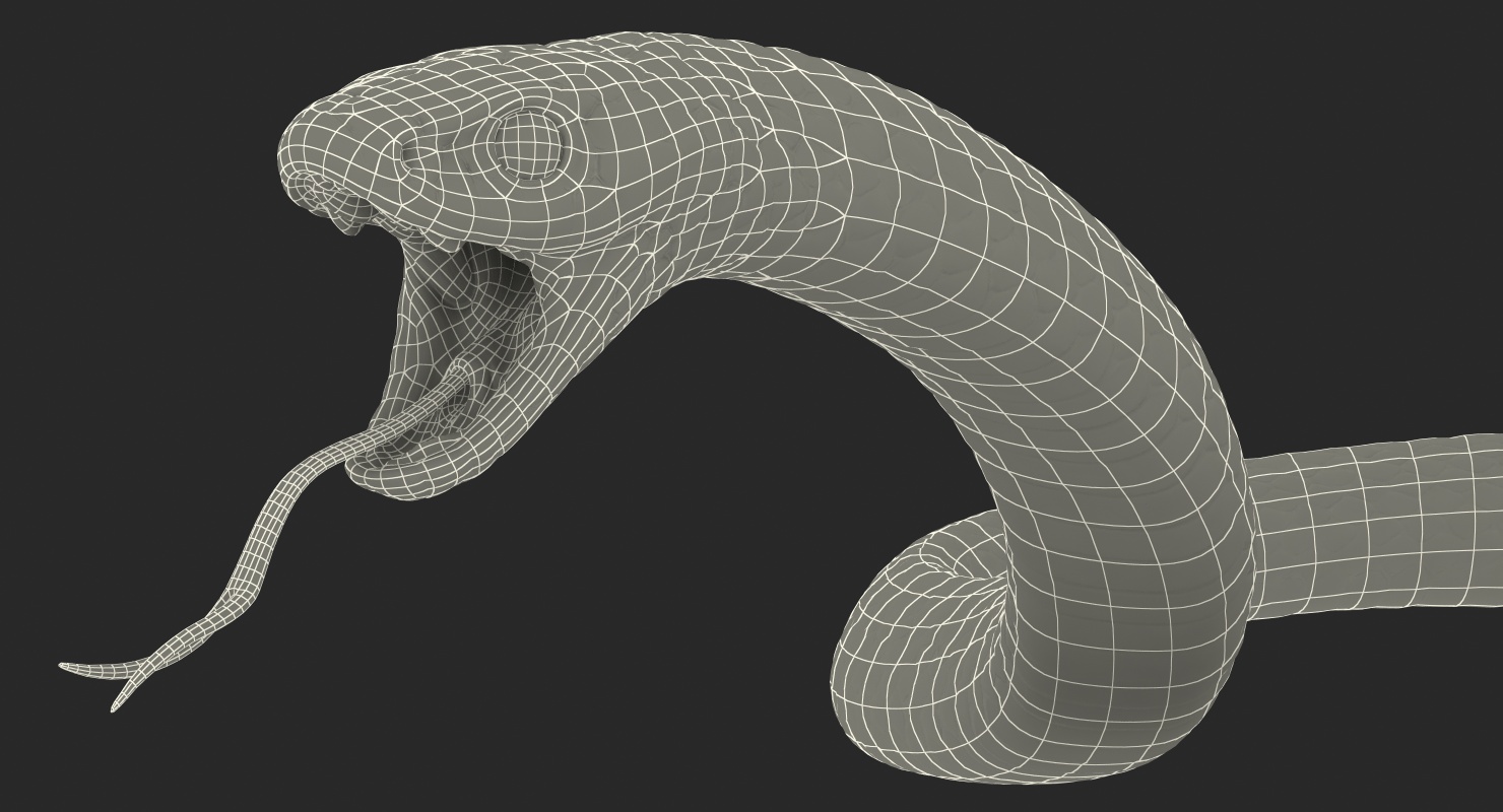 California King Snake Black 3D