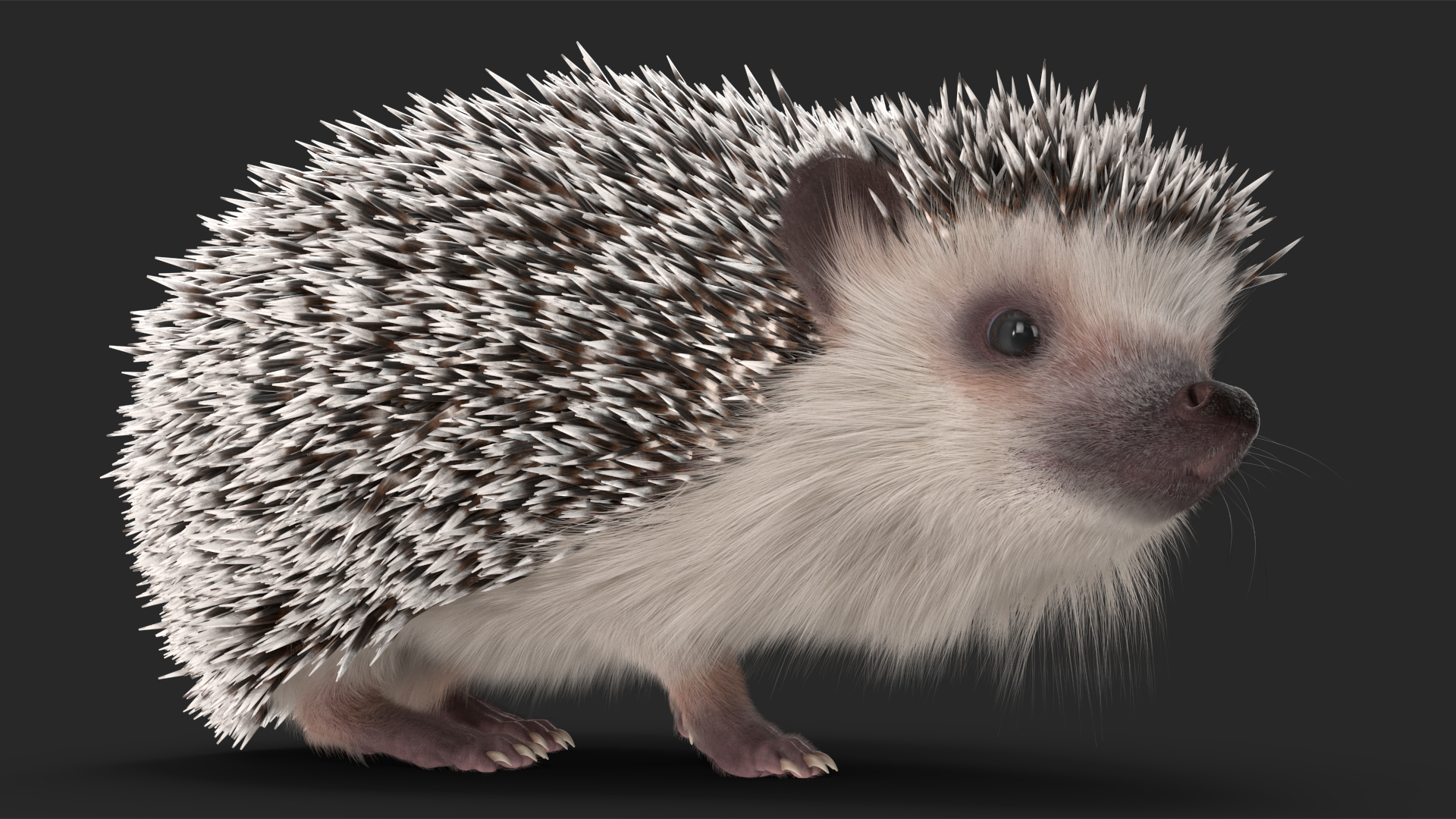 White Standing Hedgehog Fur 3D