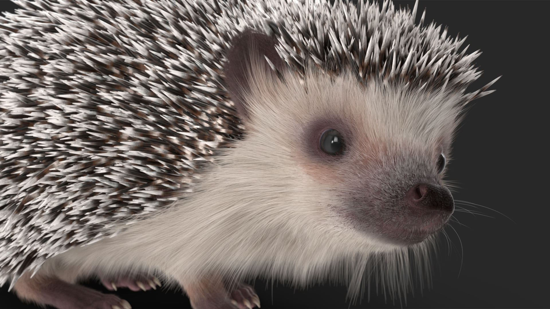 White Standing Hedgehog Fur 3D