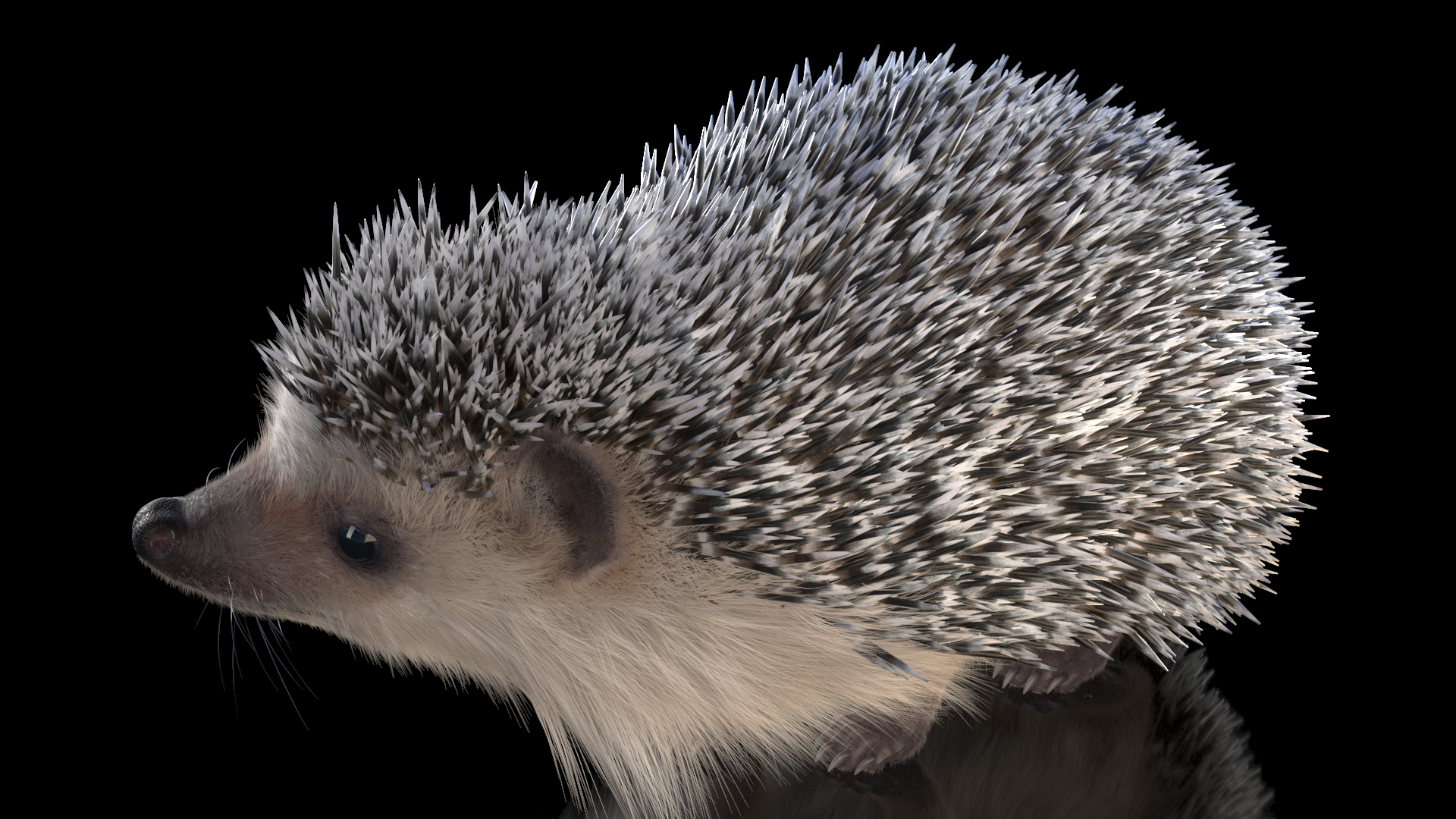 White Standing Hedgehog Fur 3D