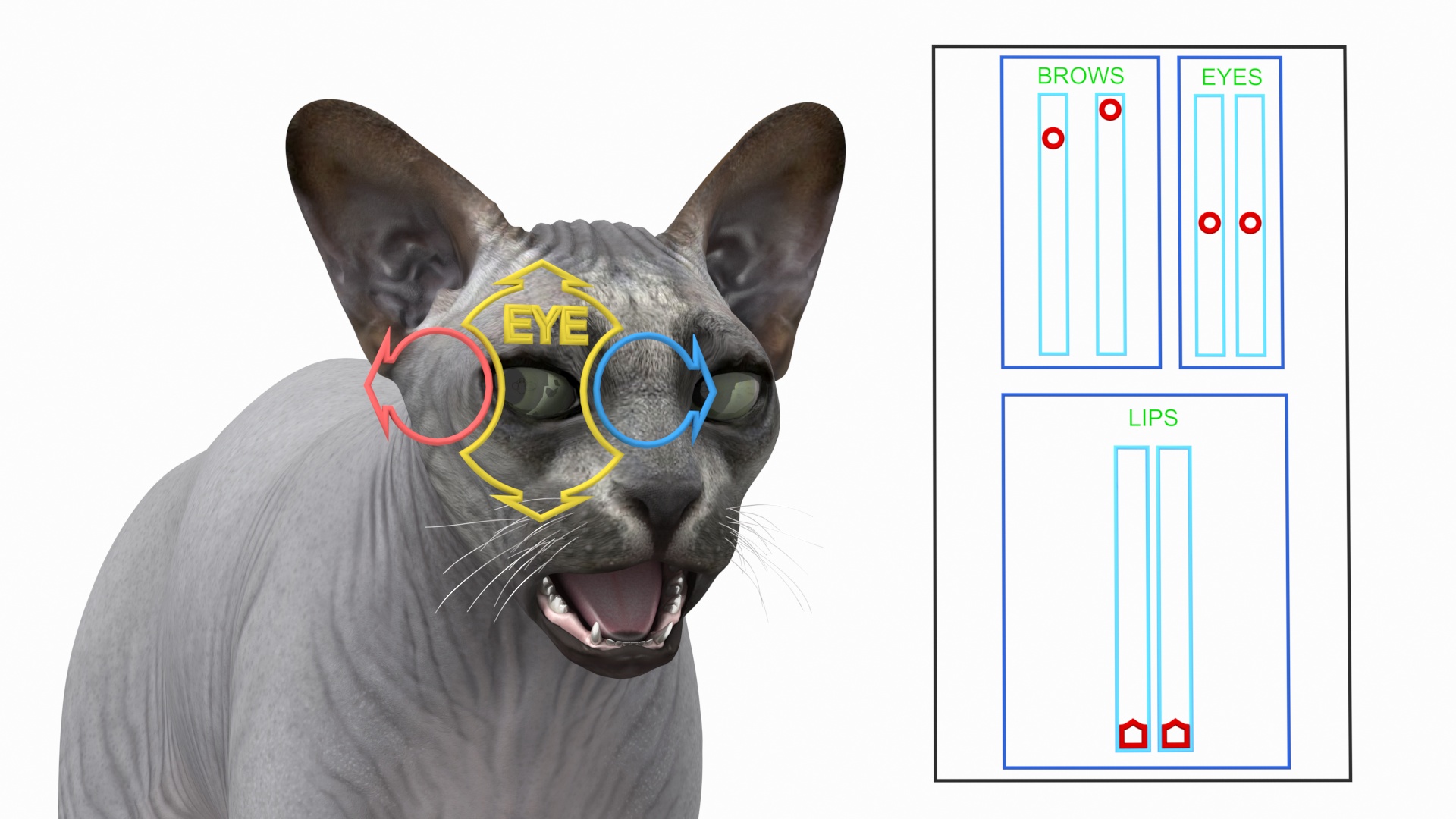 3D model Sphynx Cat Solid Color Black Rigged