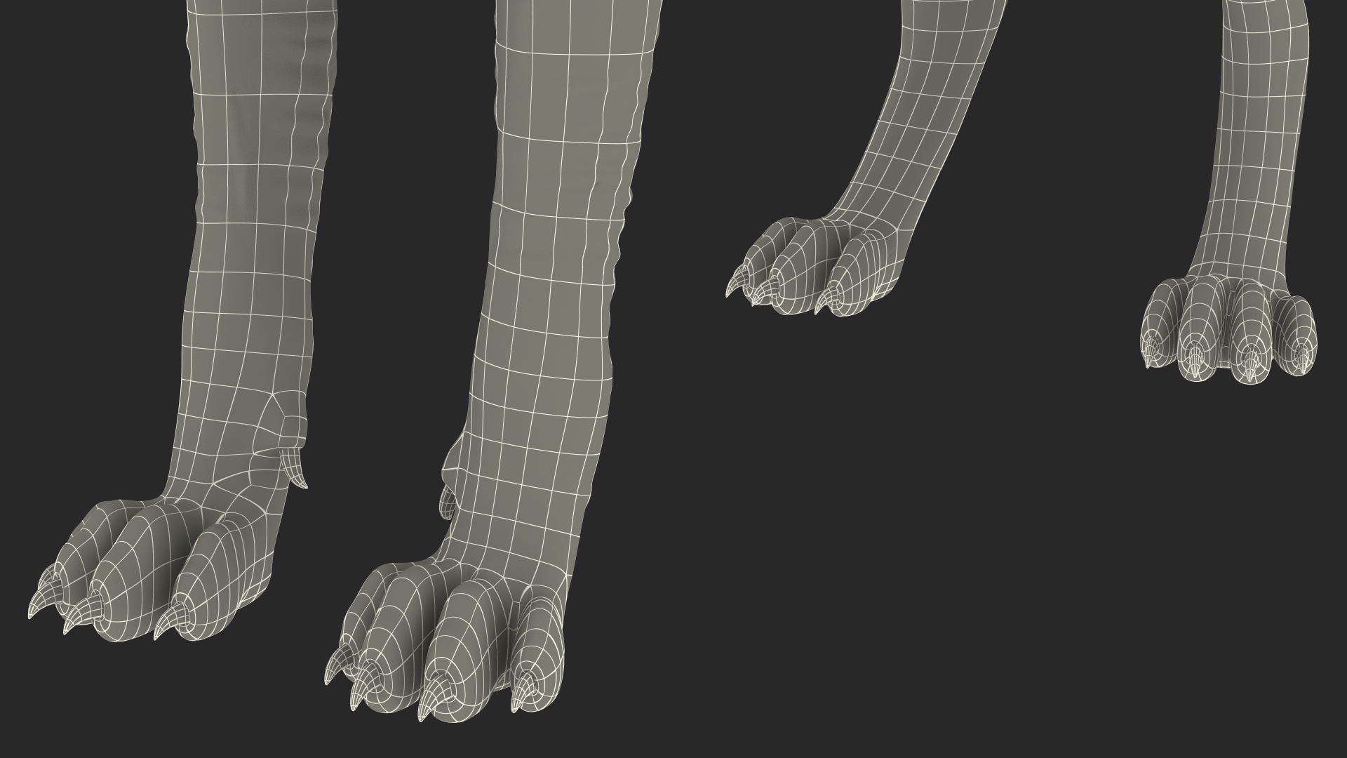 3D model Sphynx Cat Solid Color Black Rigged