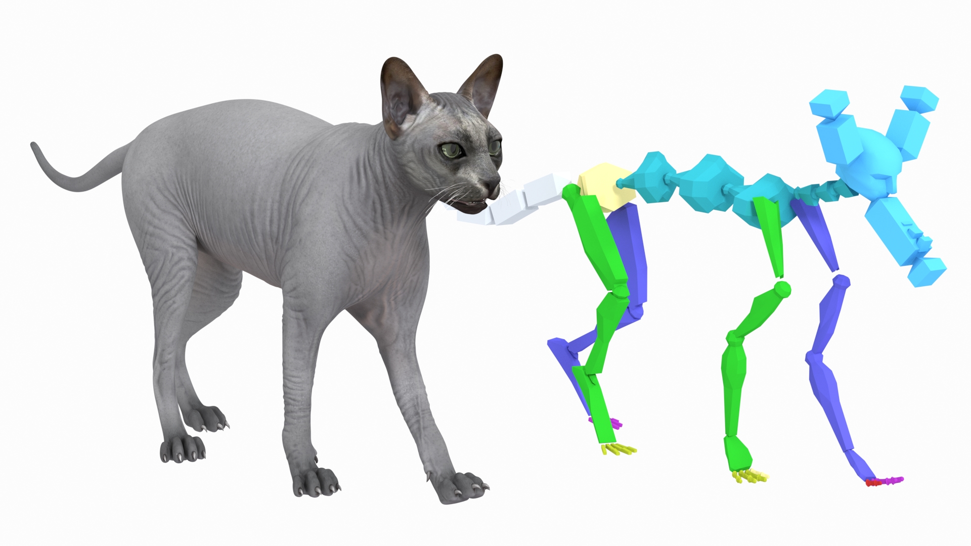 3D model Sphynx Cat Solid Color Black Rigged
