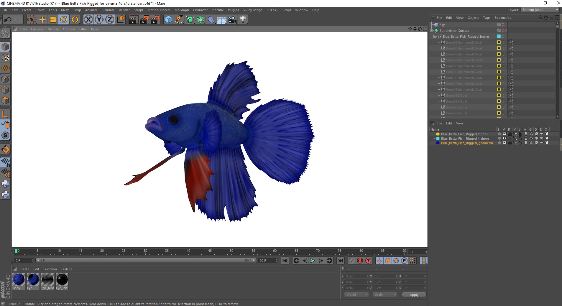 3D Blue Betta Fish Rigged for Cinema 4D