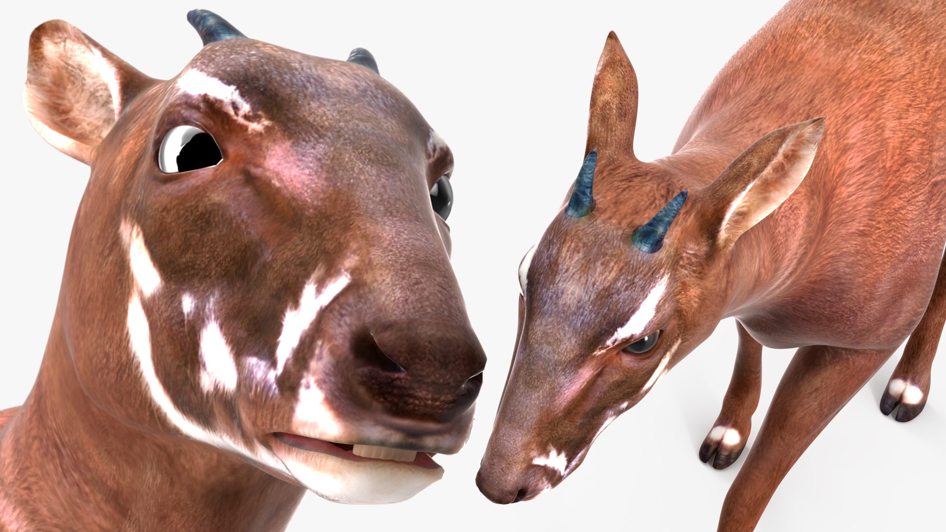 3D Saola Walking model