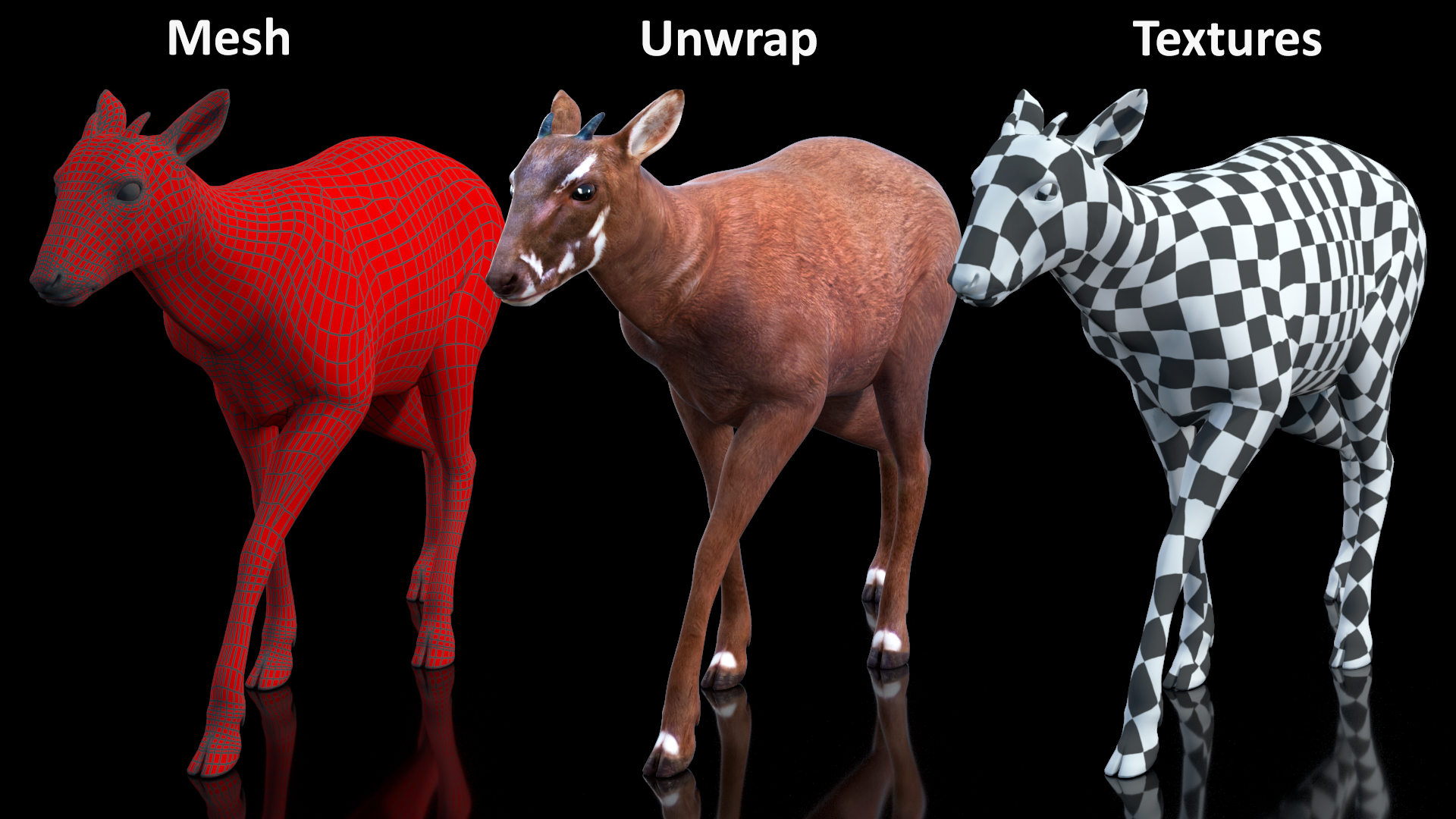 3D Saola Walking model