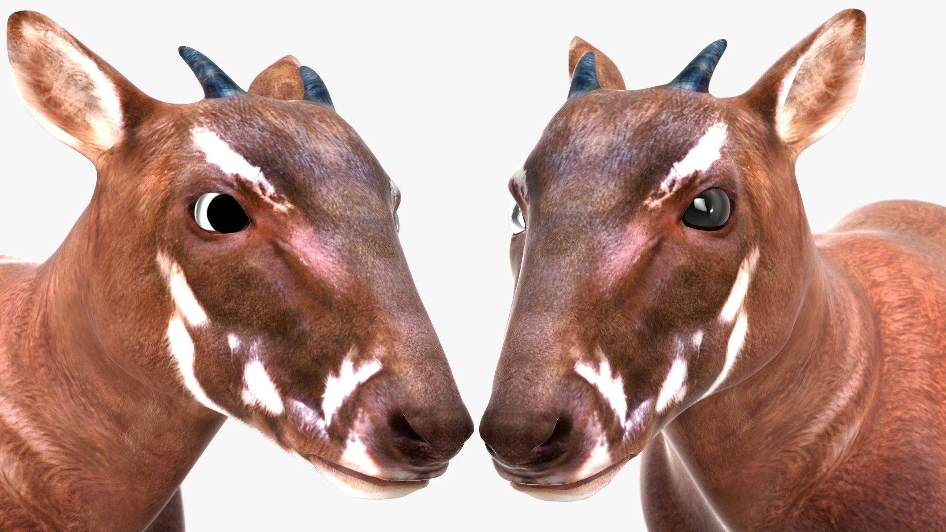 3D Saola Walking model
