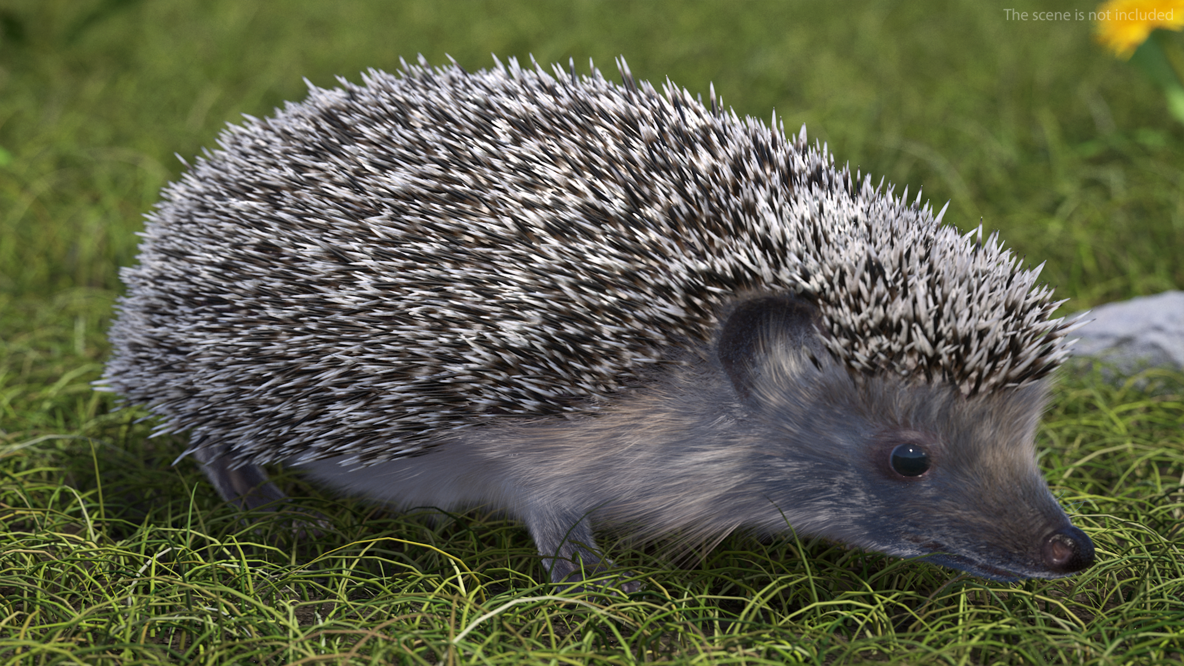 3D model Black Hedgehog Fur Rigged