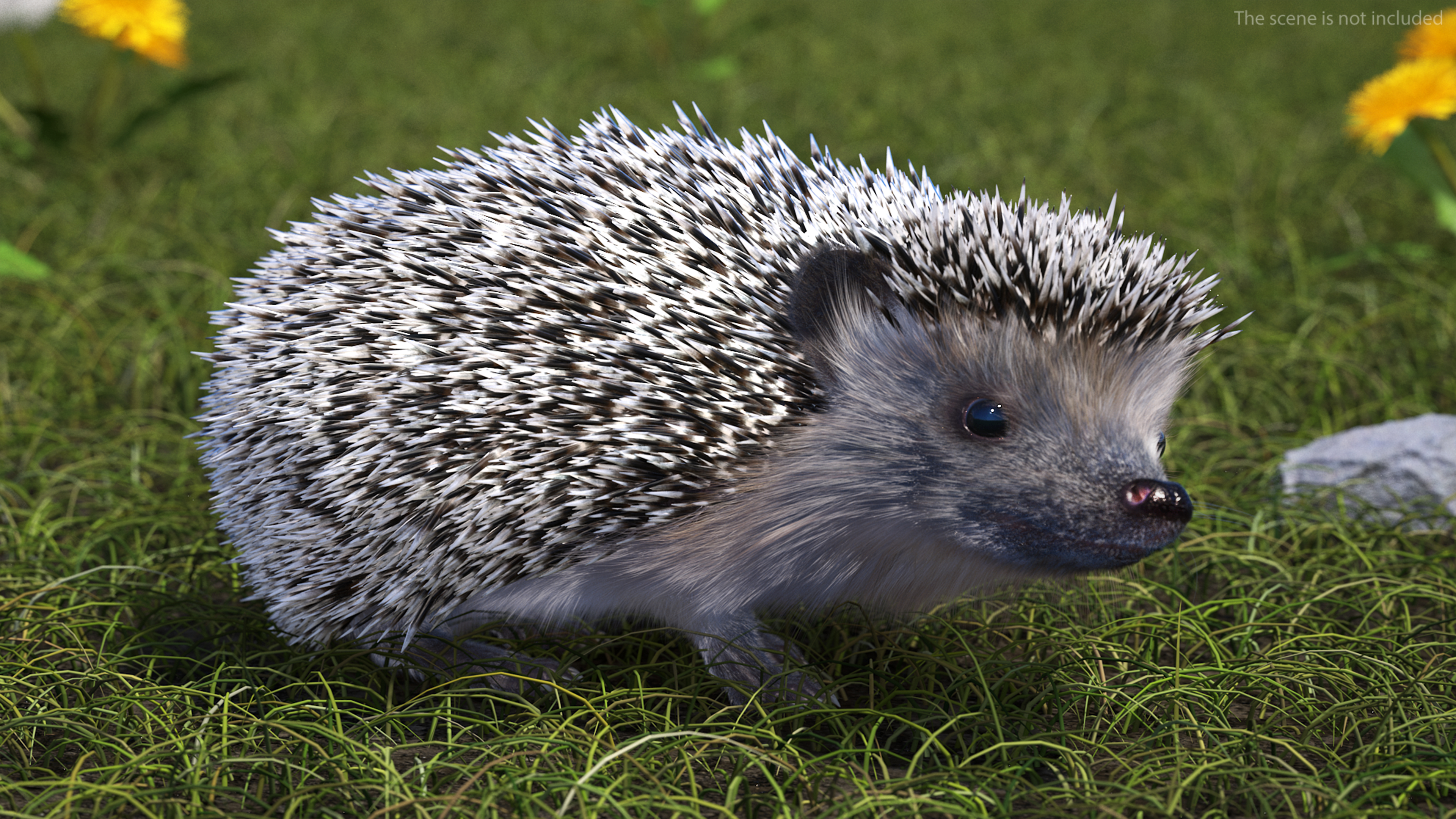 3D model Black Hedgehog Fur Rigged
