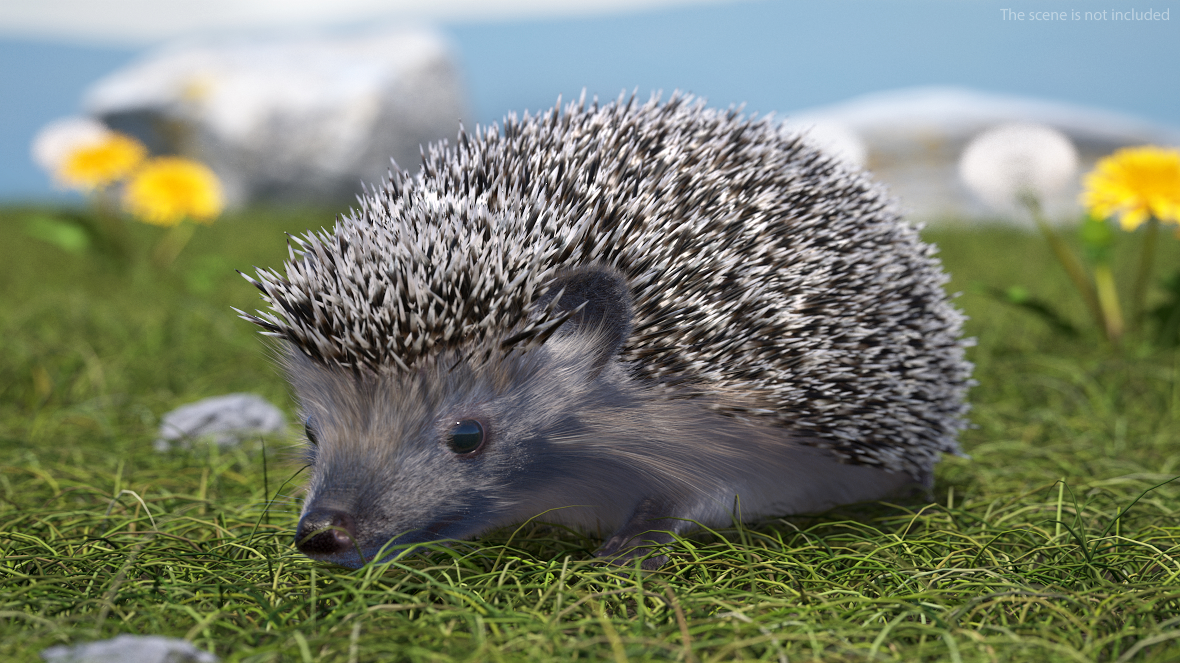 3D model Black Hedgehog Fur Rigged